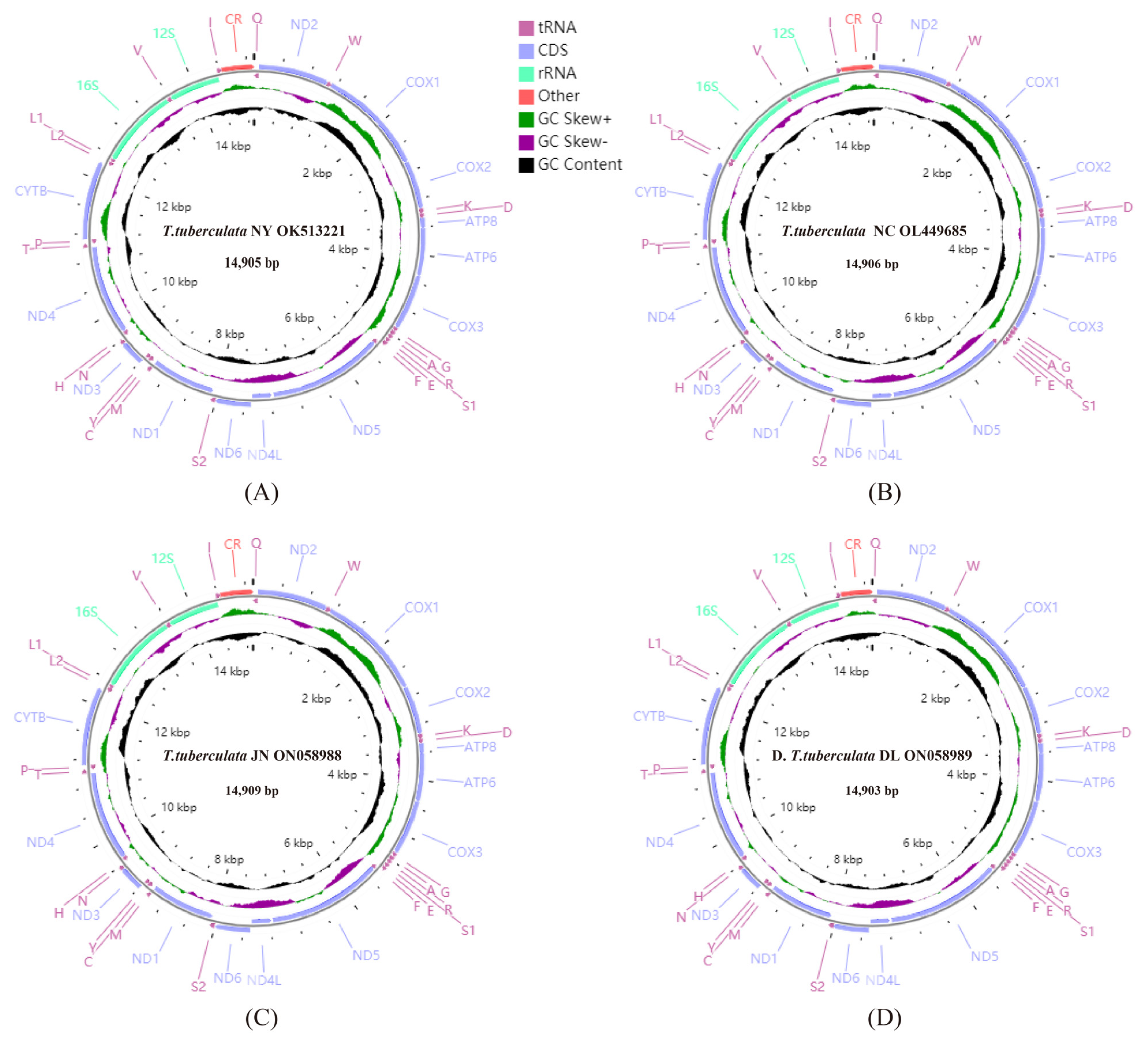 Insects 13 00620 g001 Insects 13 00620 g001