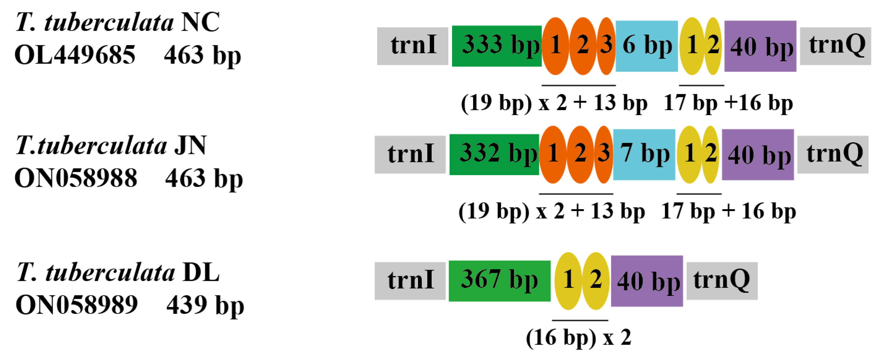 Insects 13 00620 g003 Insects 13 00620 g003