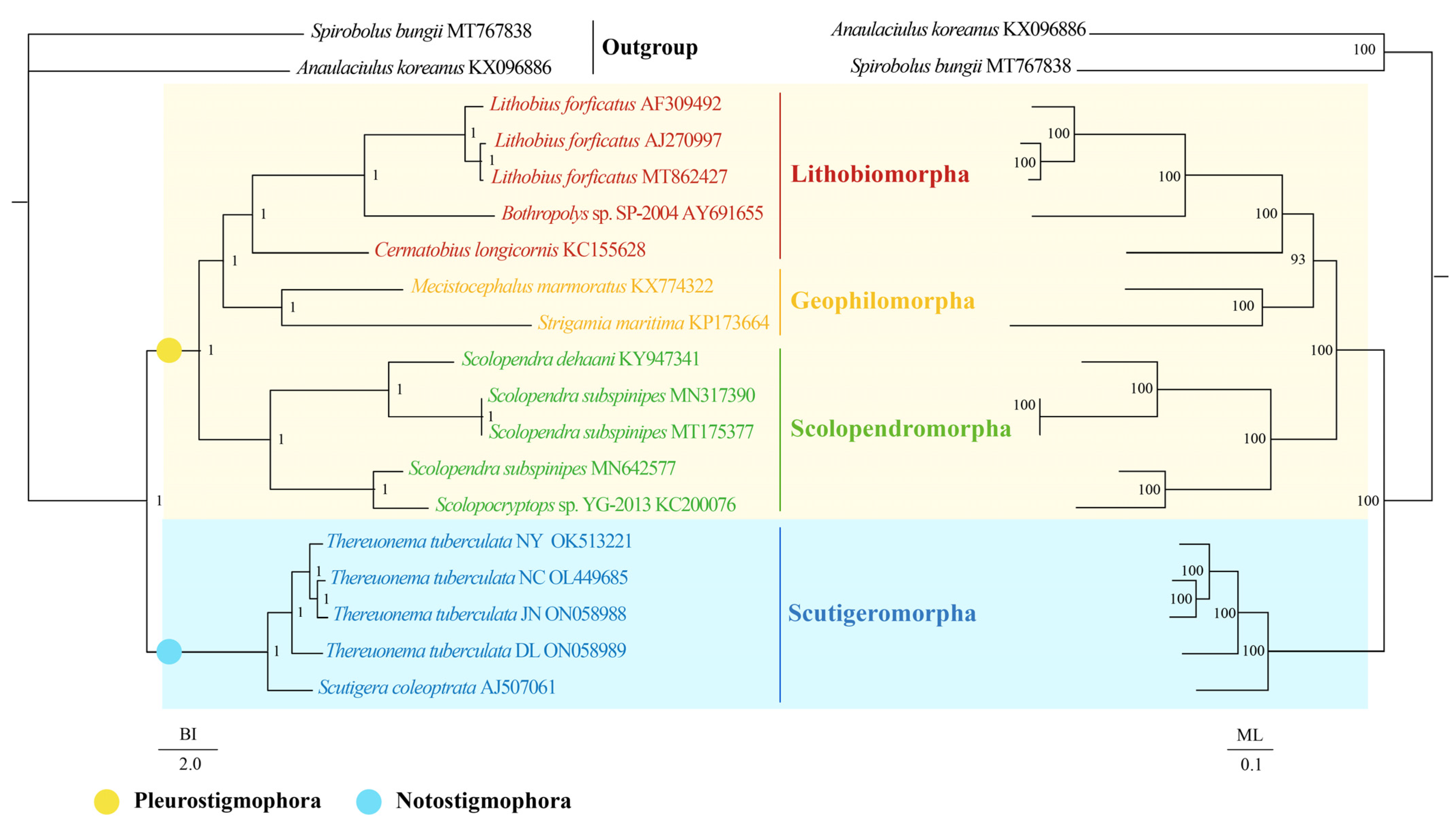 Insects 13 00620 g004 Insects 13 00620 g004