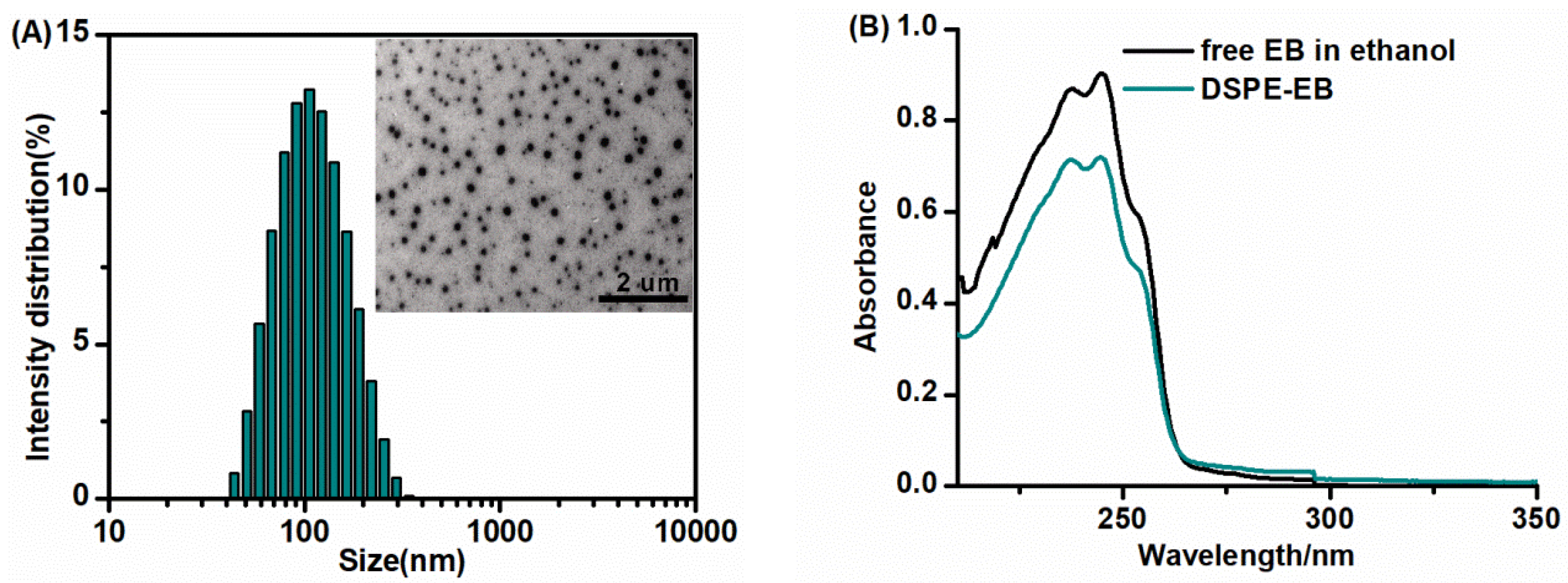 Insects 13 00625 g001 550