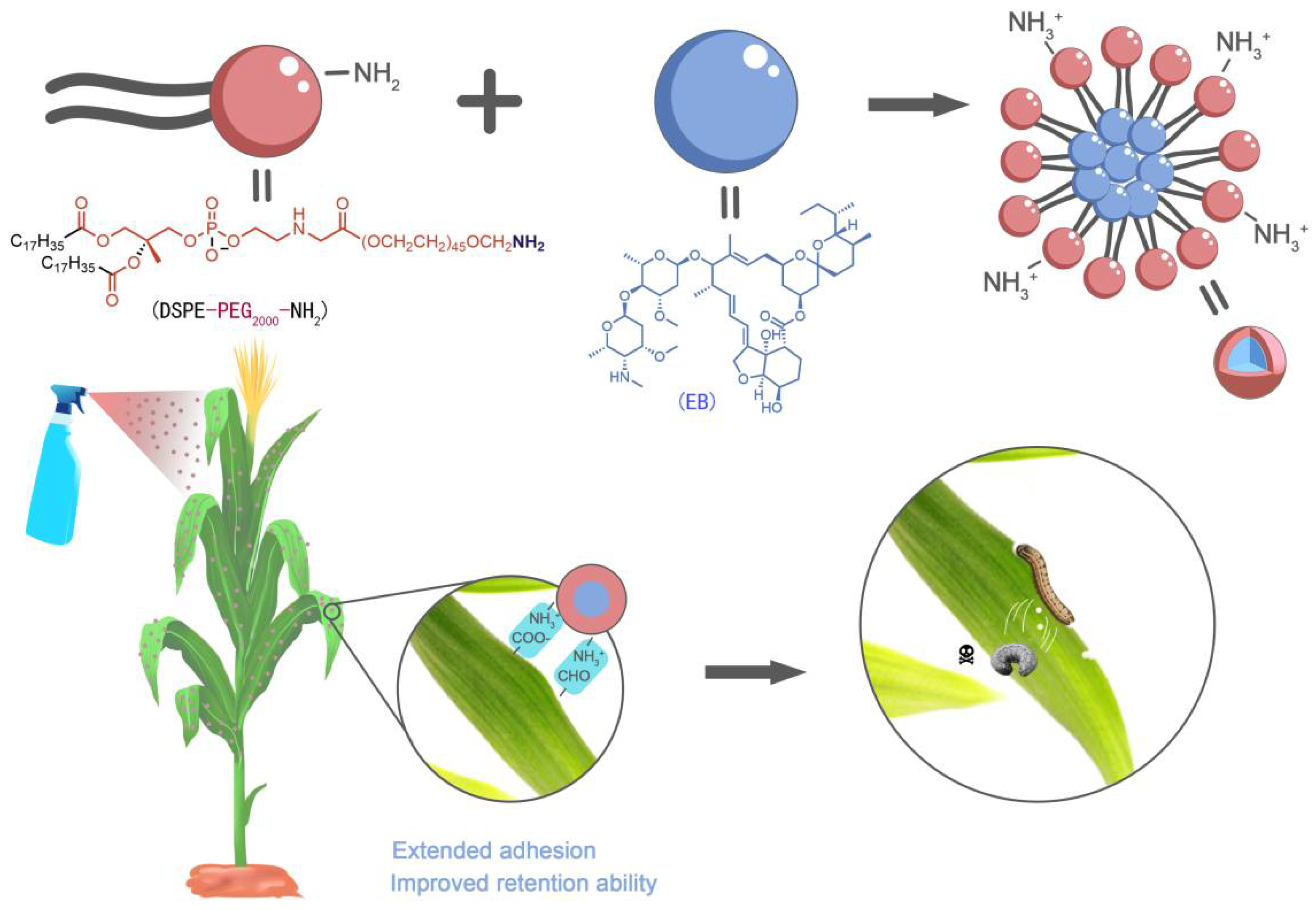 Insects 13 00625 sch001 550