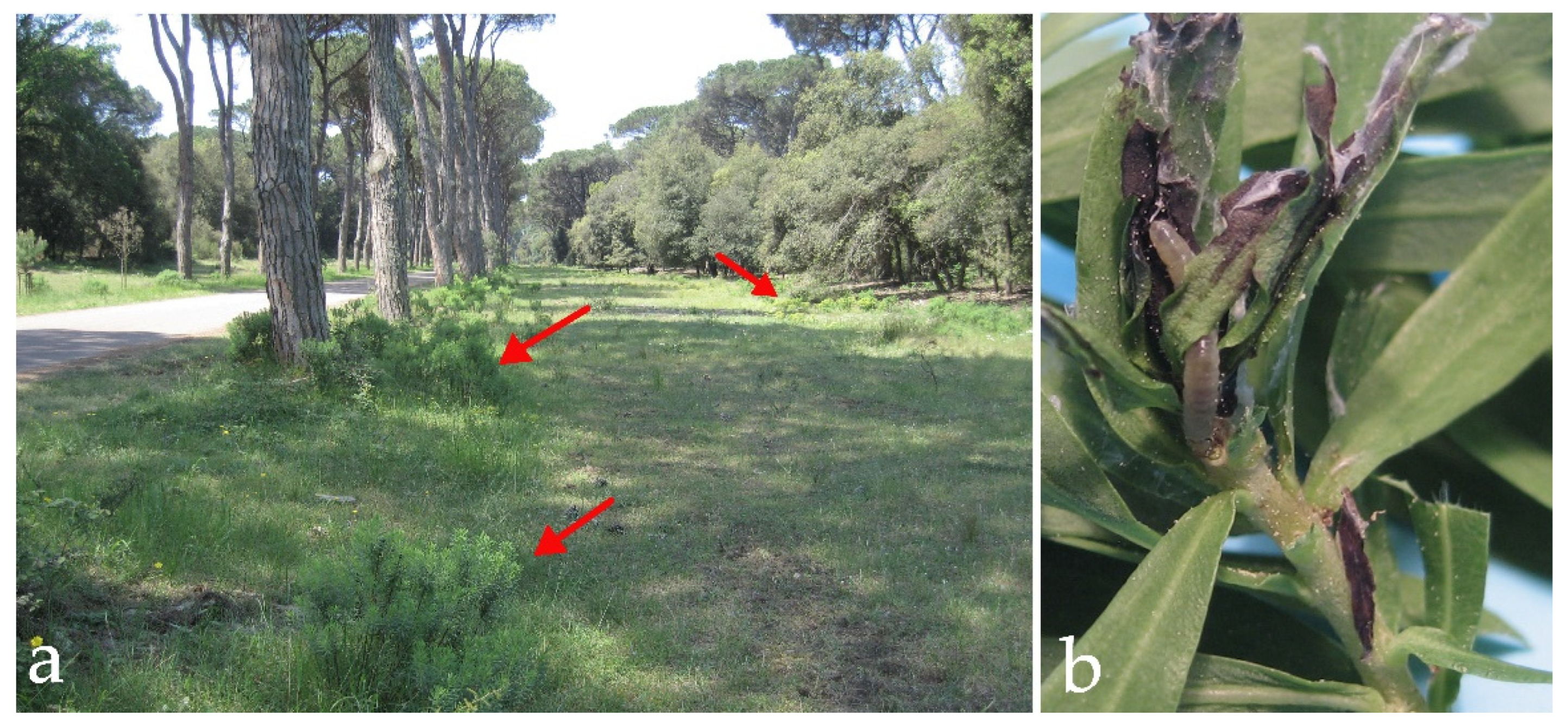 Insects 13 00627 g002 Insects 13 00627 g002