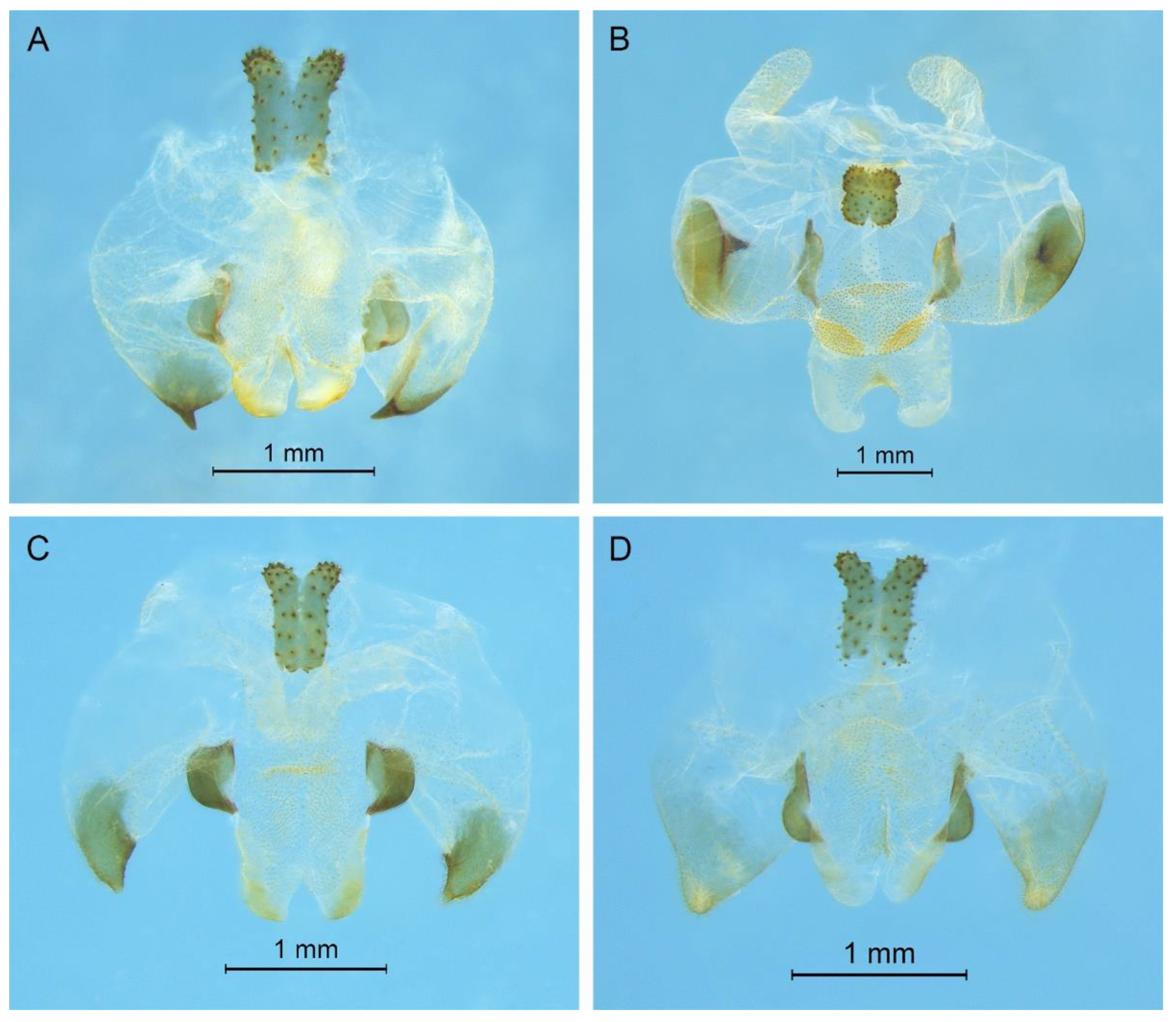 Insects 13 00628 g003 550