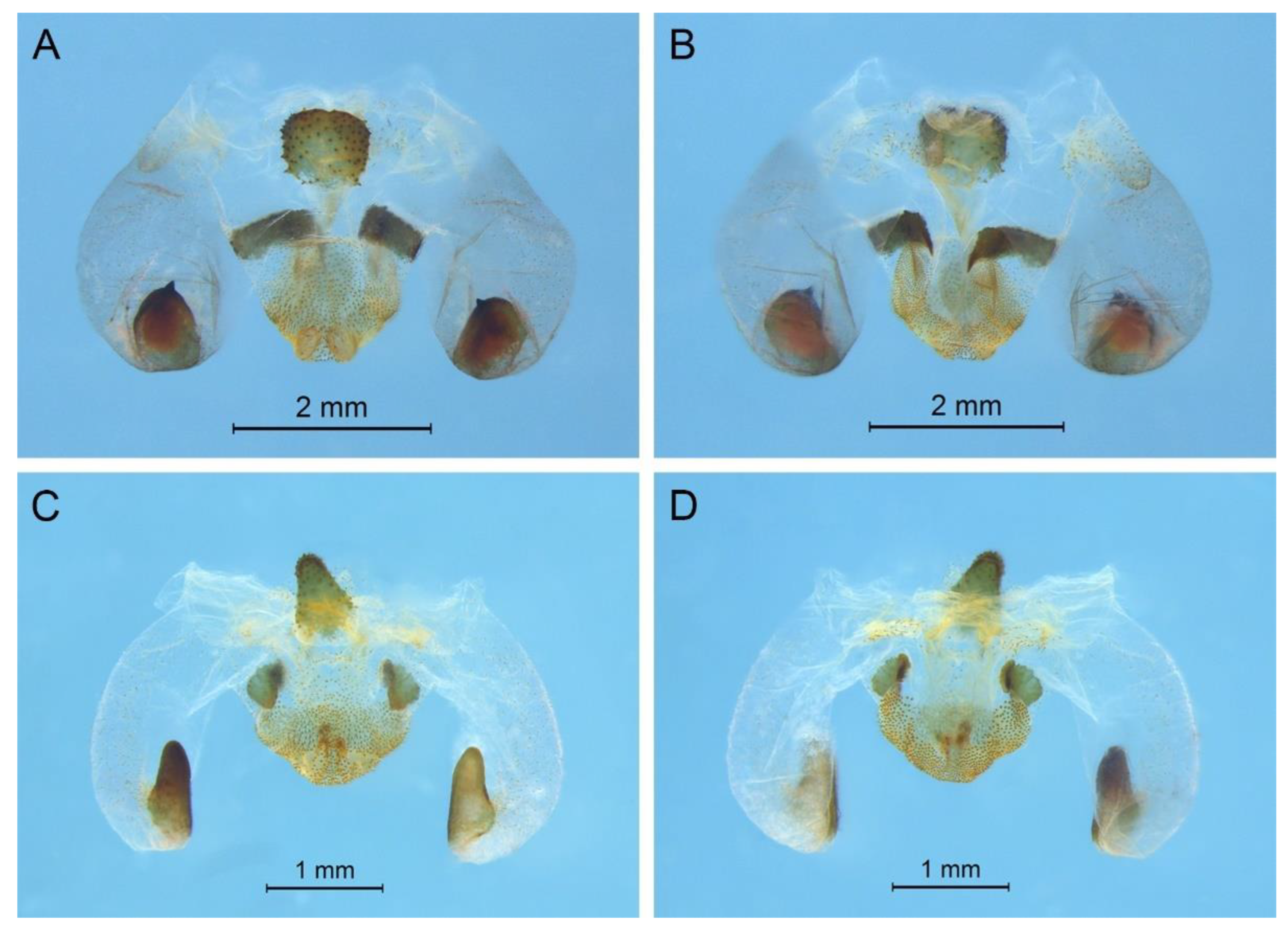 Insects 13 00628 g016 550