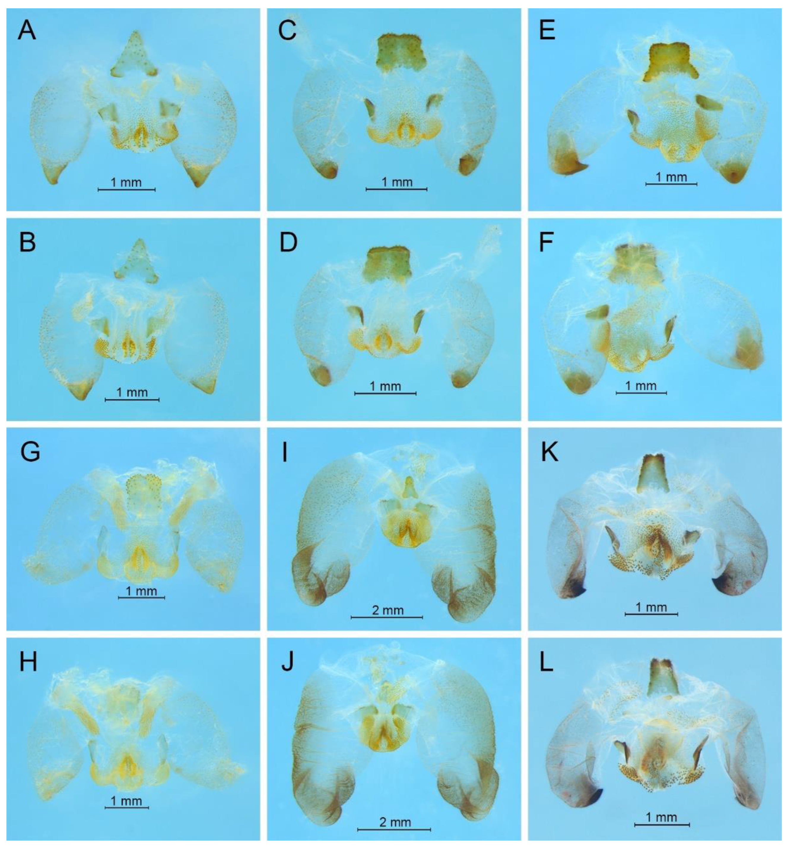 Insects 13 00628 g020 550