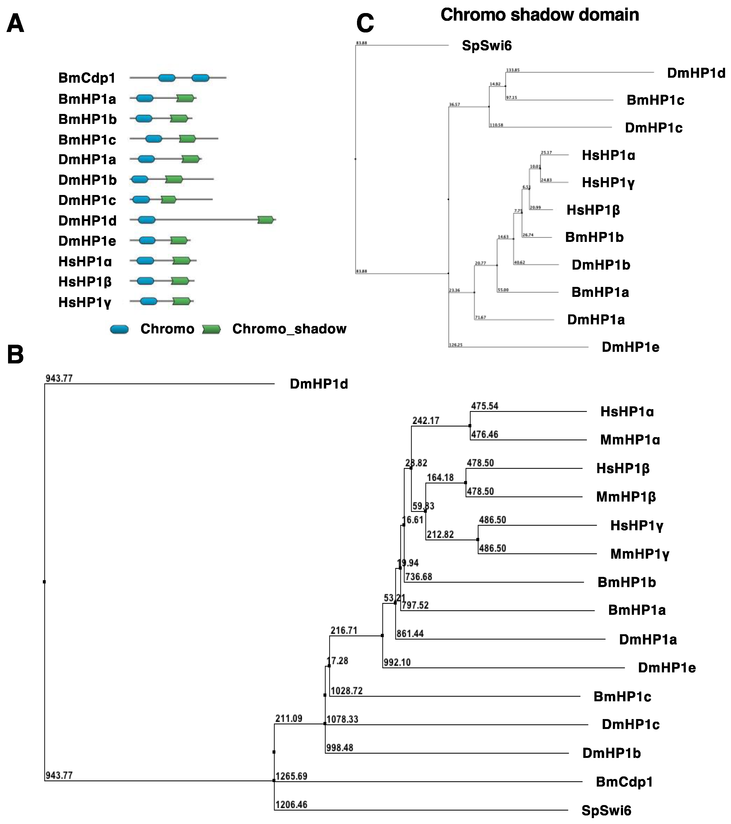 Insects 13 00631 g001