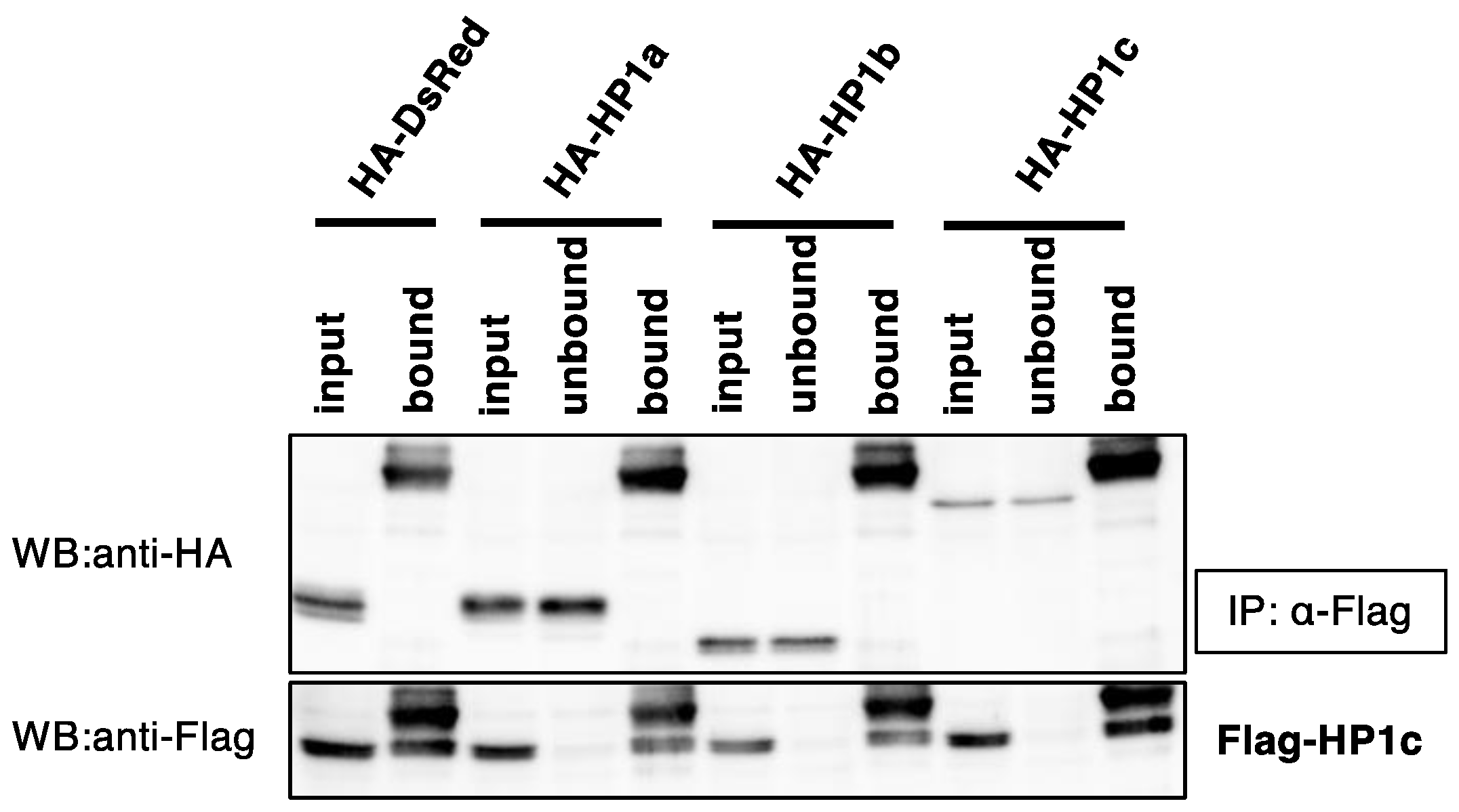 Insects 13 00631 g003