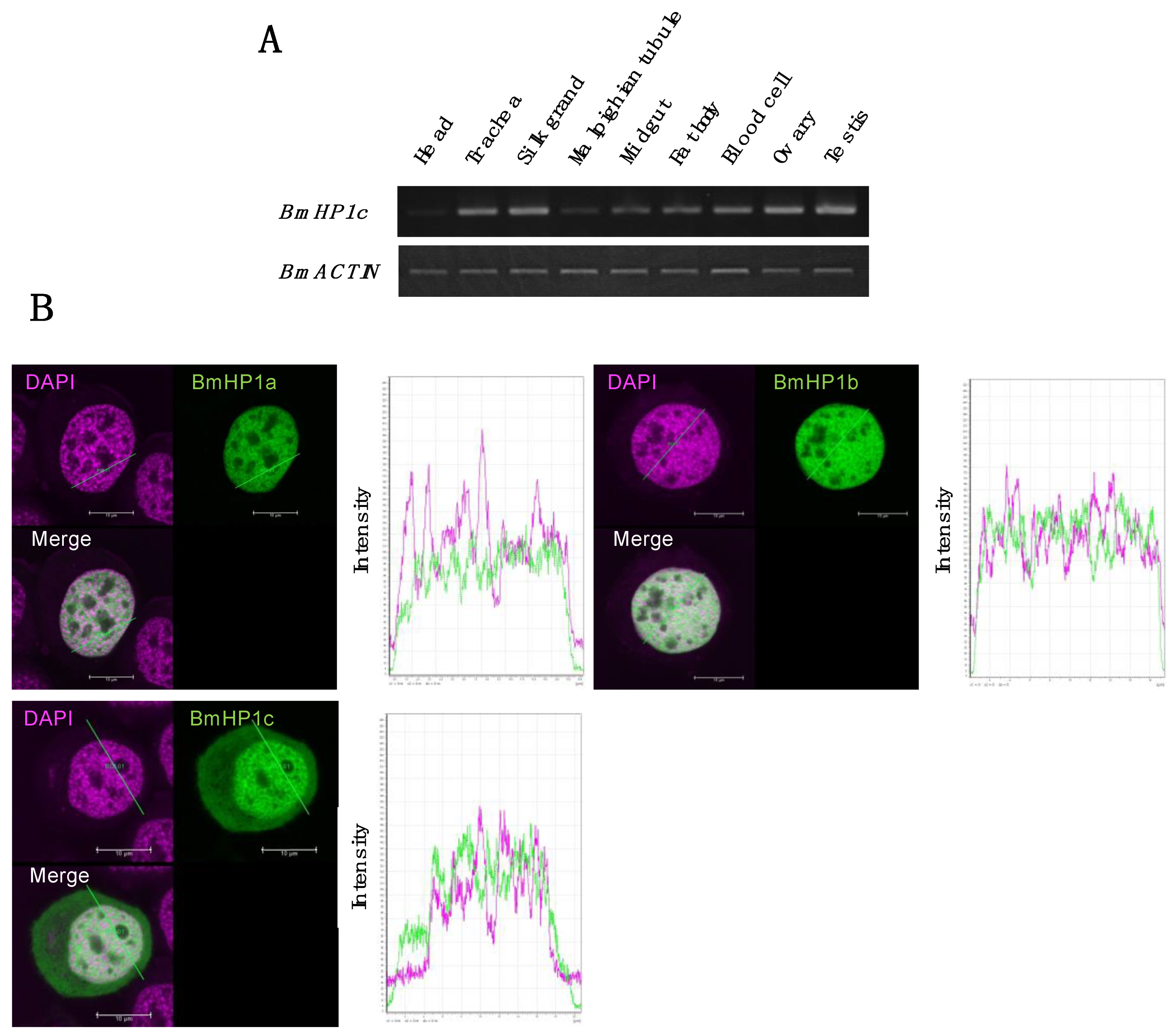 Insects 13 00631 g004