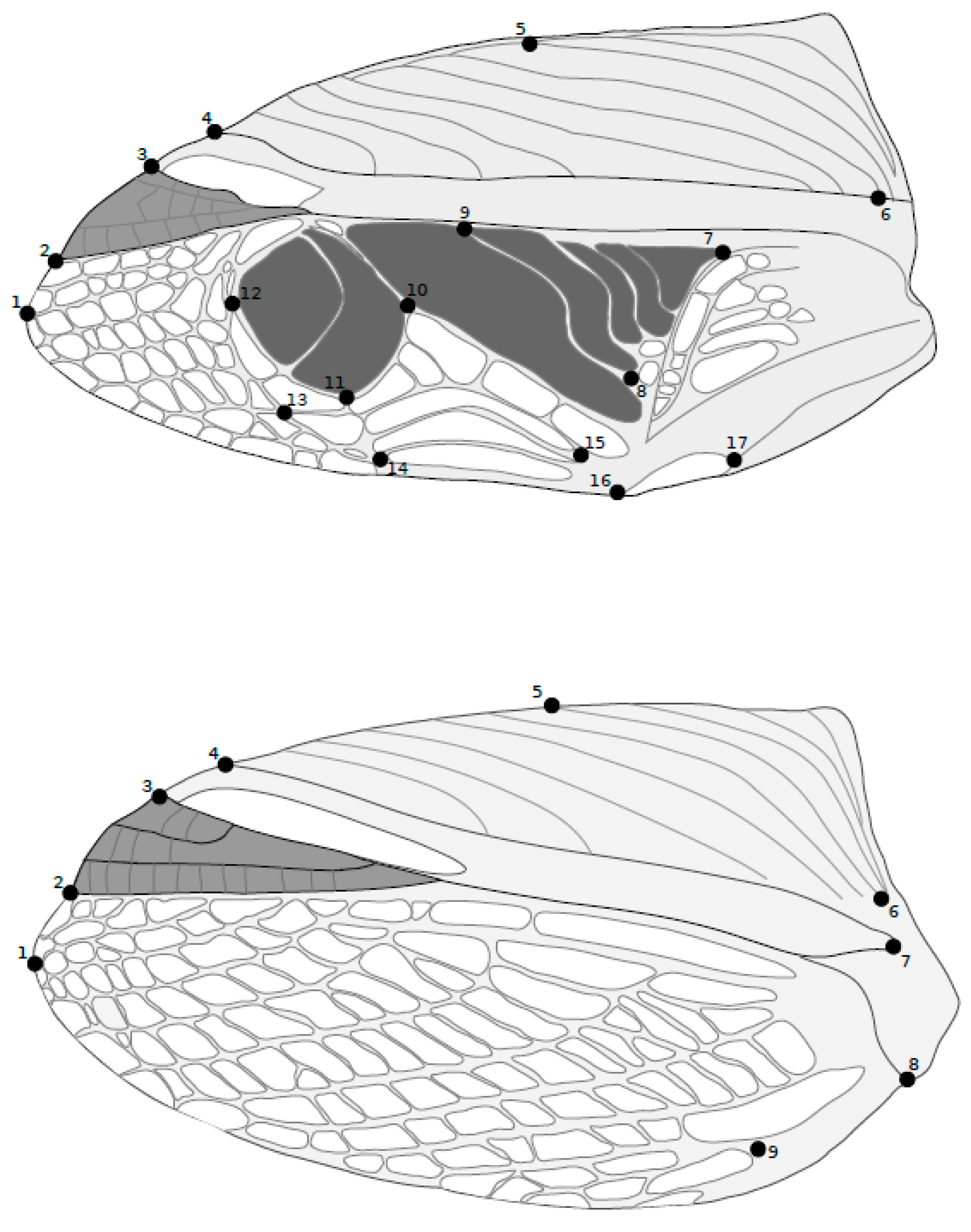 Insects 13 00640 g002 550