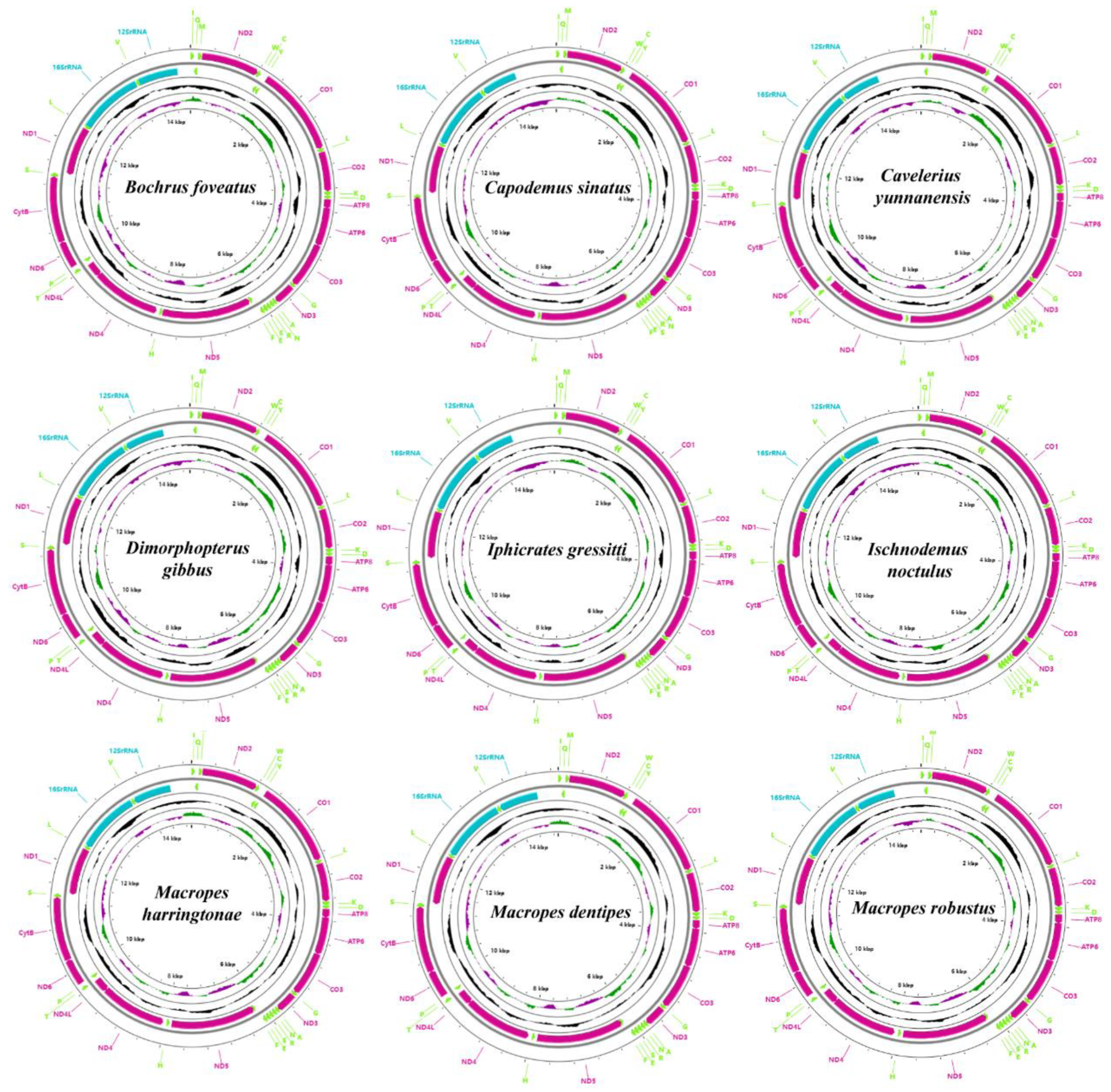 Insects 13 00643 g001