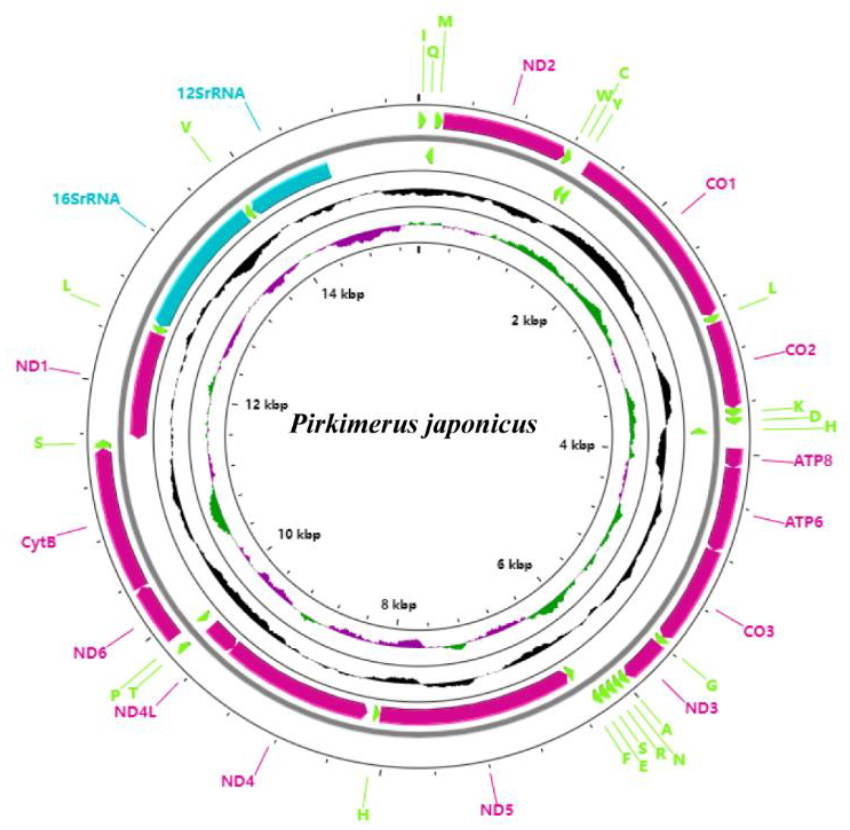Insects 13 00643 g002