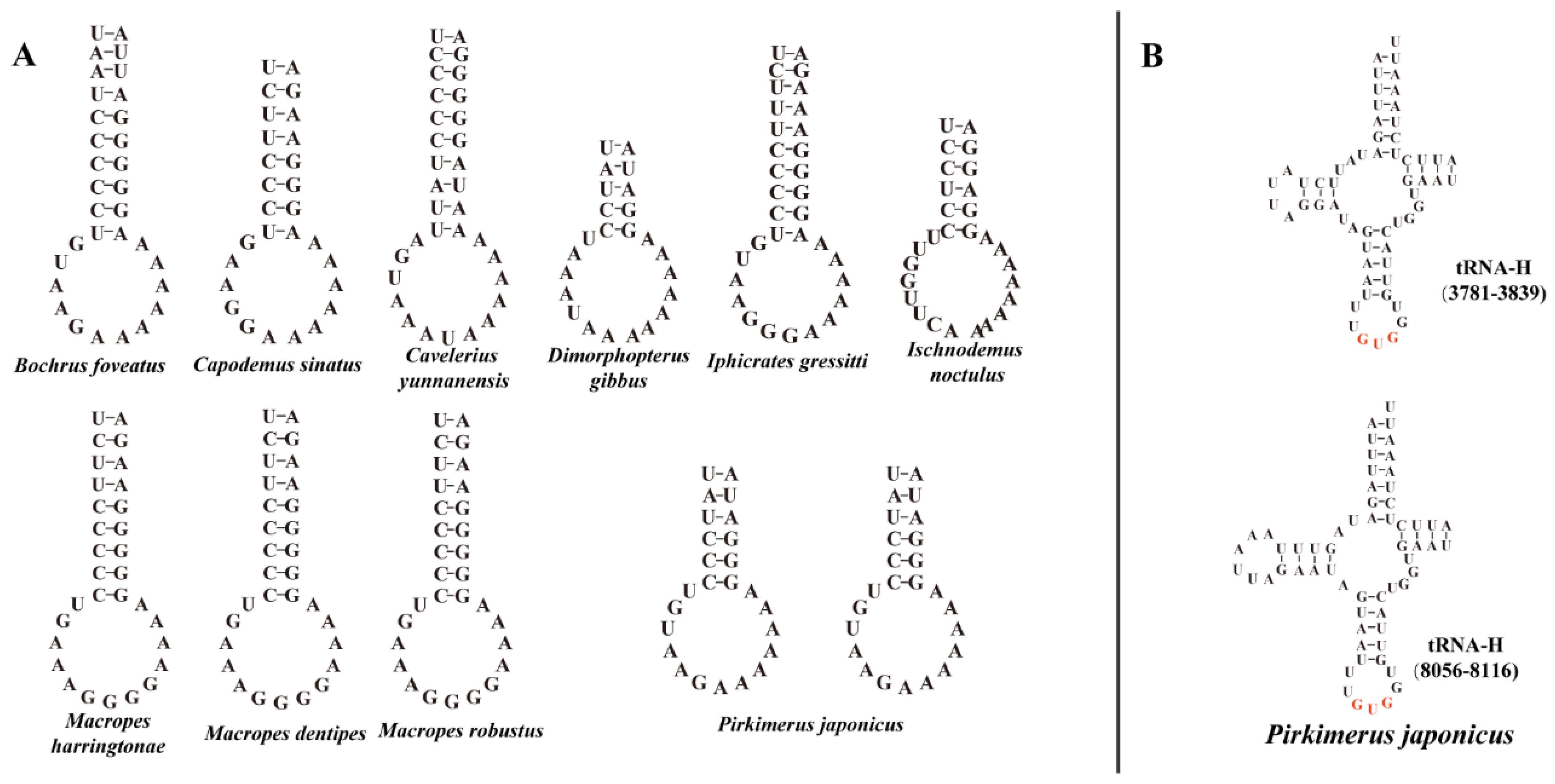 Insects 13 00643 g003
