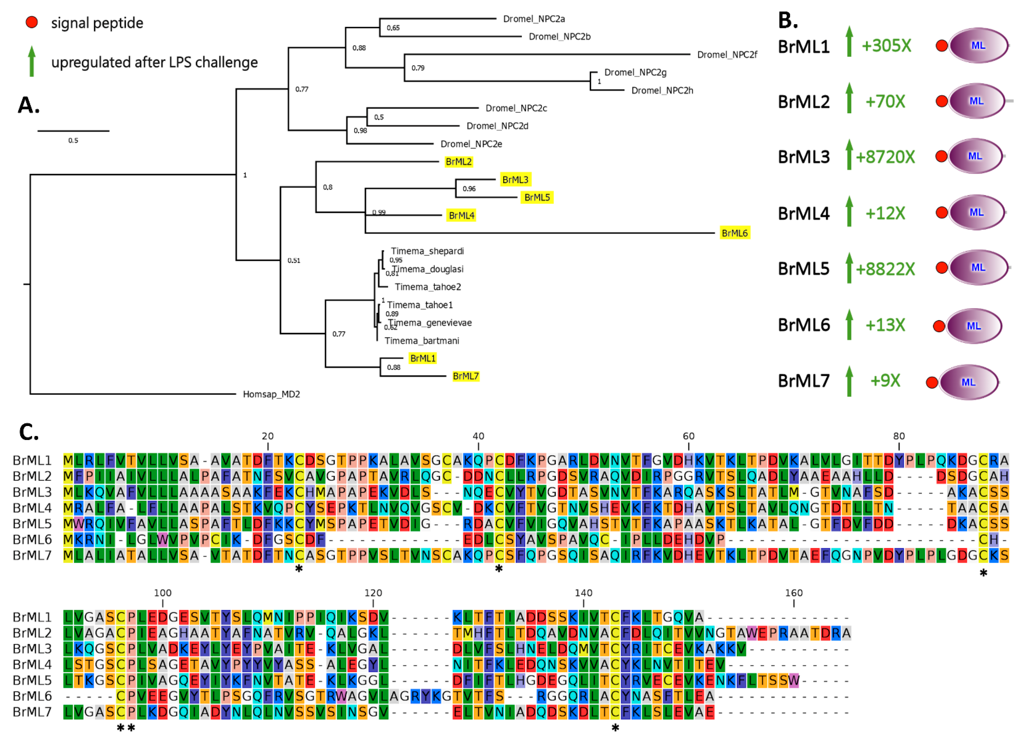 Insects 13 00645 g003