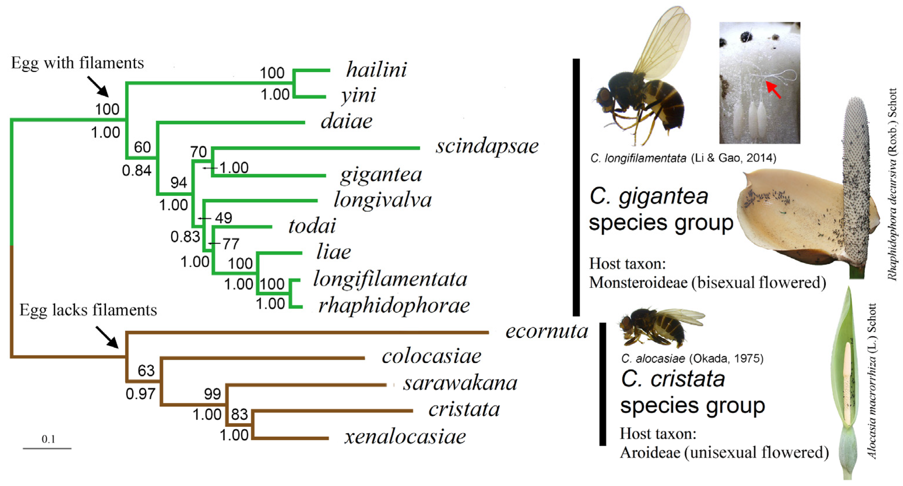 Insects 13 00647 g002 Insects 13 00647 g002