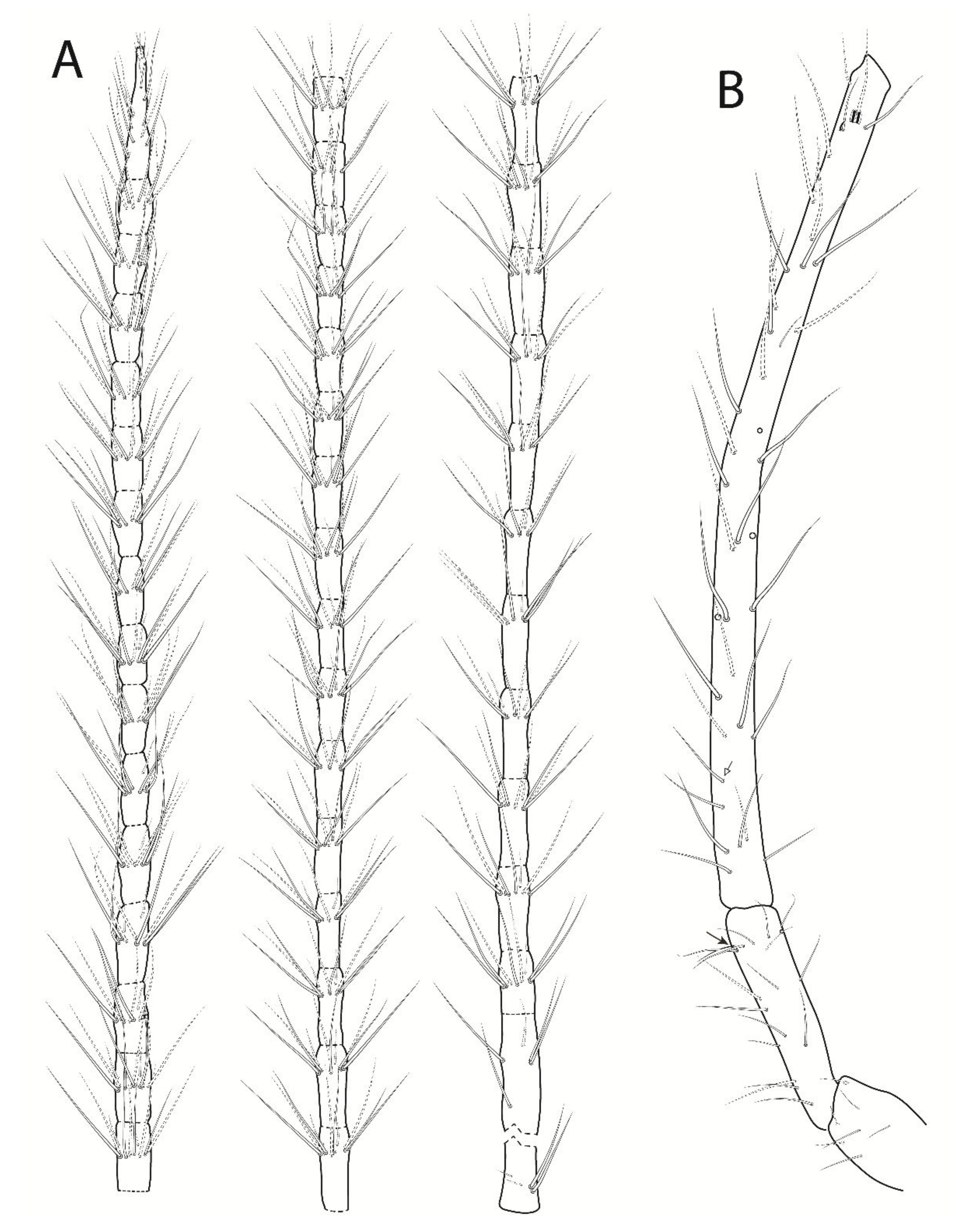 Insects 13 00650 g004 Insects 13 00650 g004