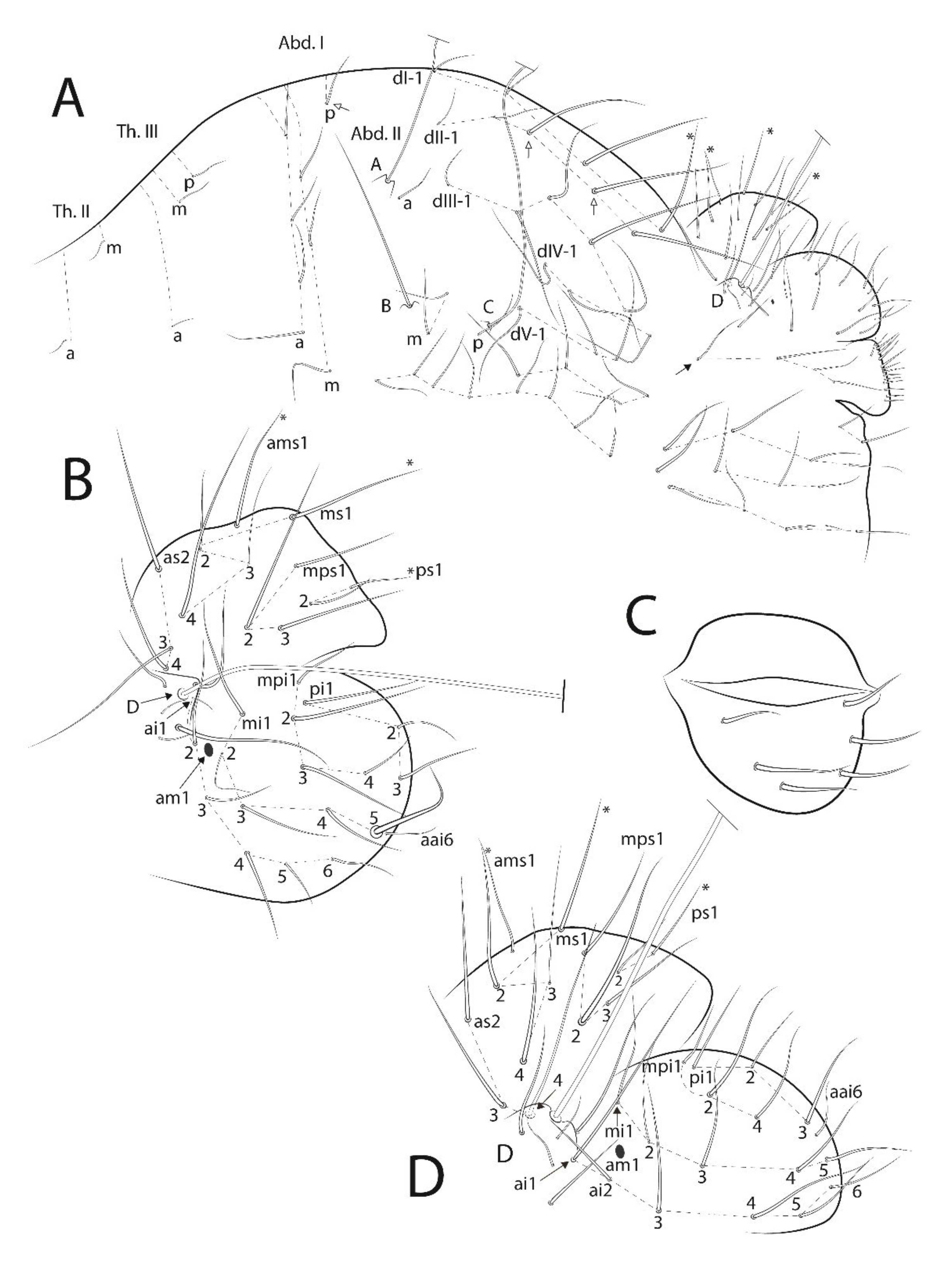 Insects 13 00650 g006 Insects 13 00650 g006
