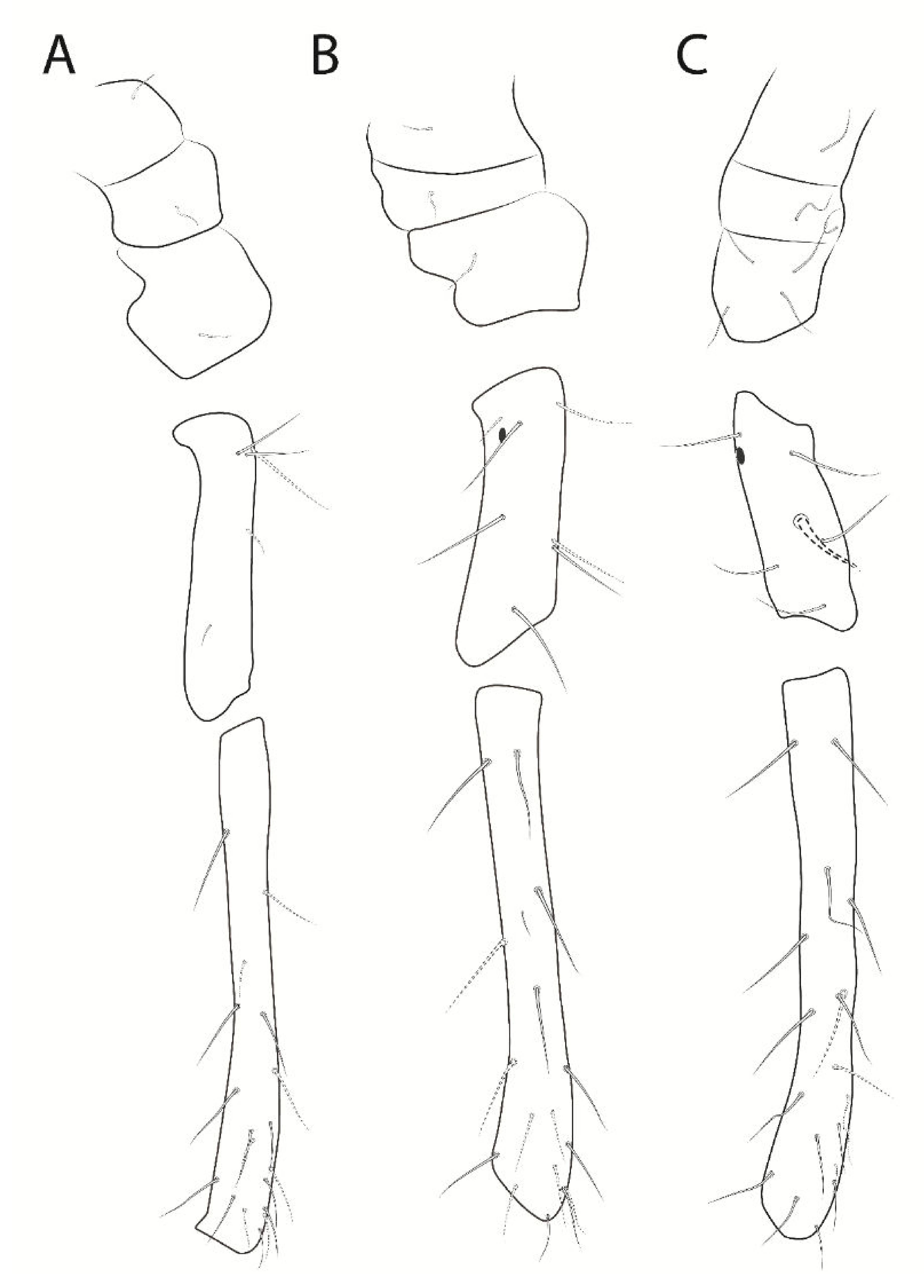 Insects 13 00650 g007 Insects 13 00650 g007