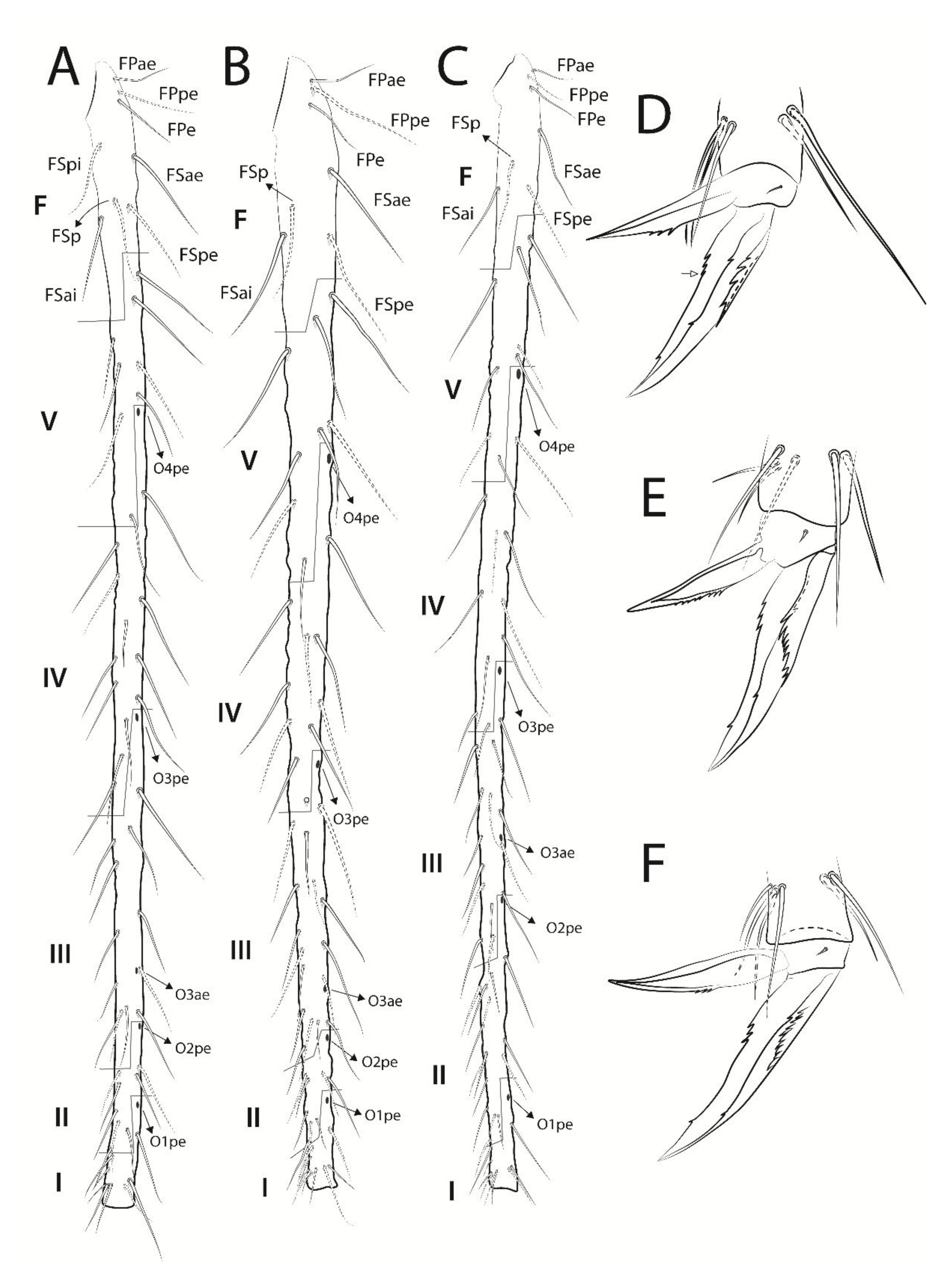 Insects 13 00650 g008 Insects 13 00650 g008