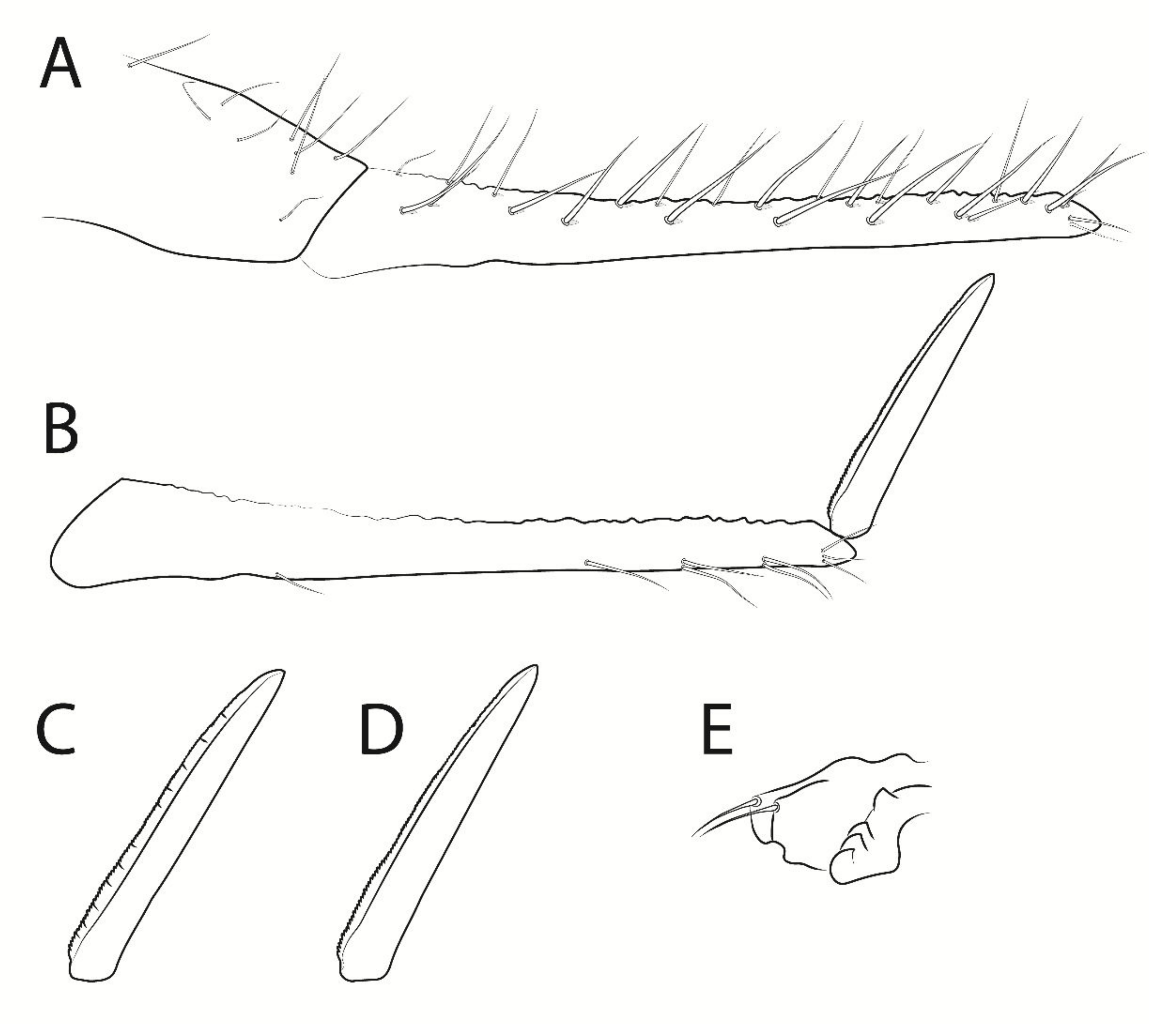 Insects 13 00650 g009 Insects 13 00650 g009