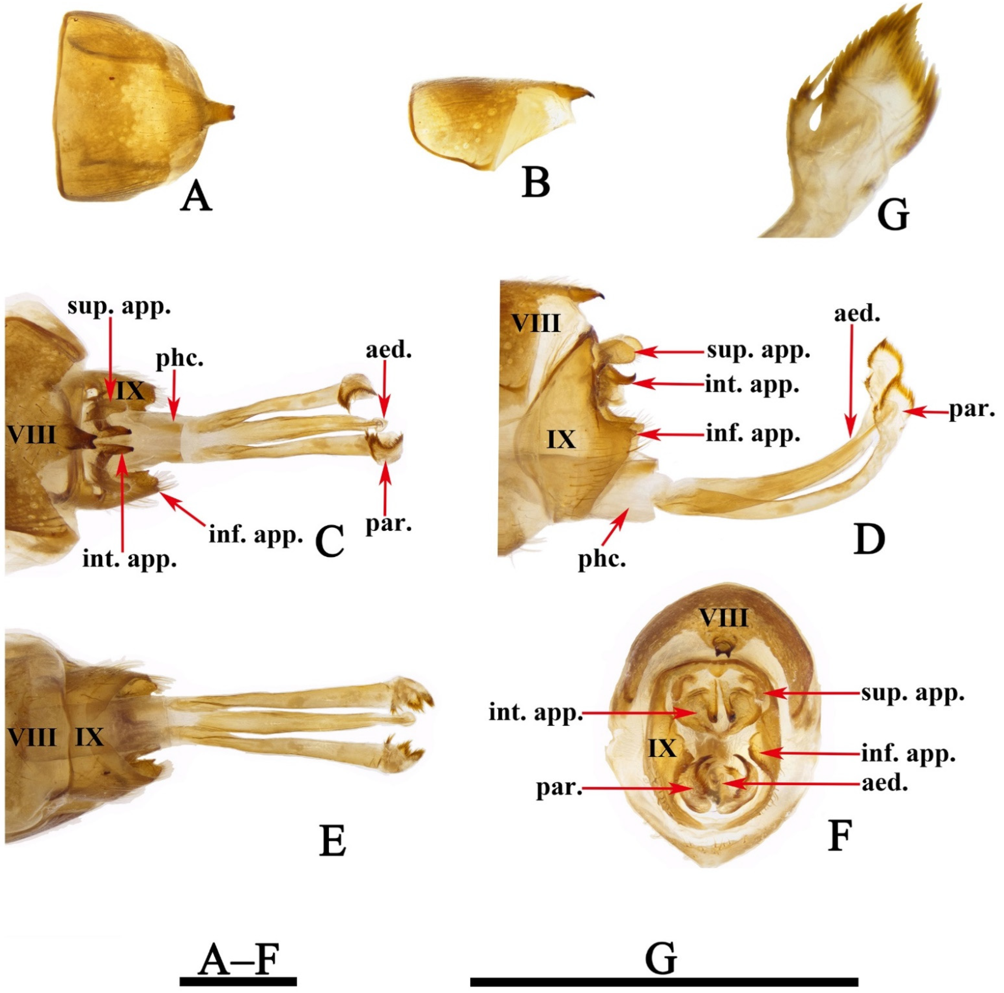Insects 13 00653 g003 550