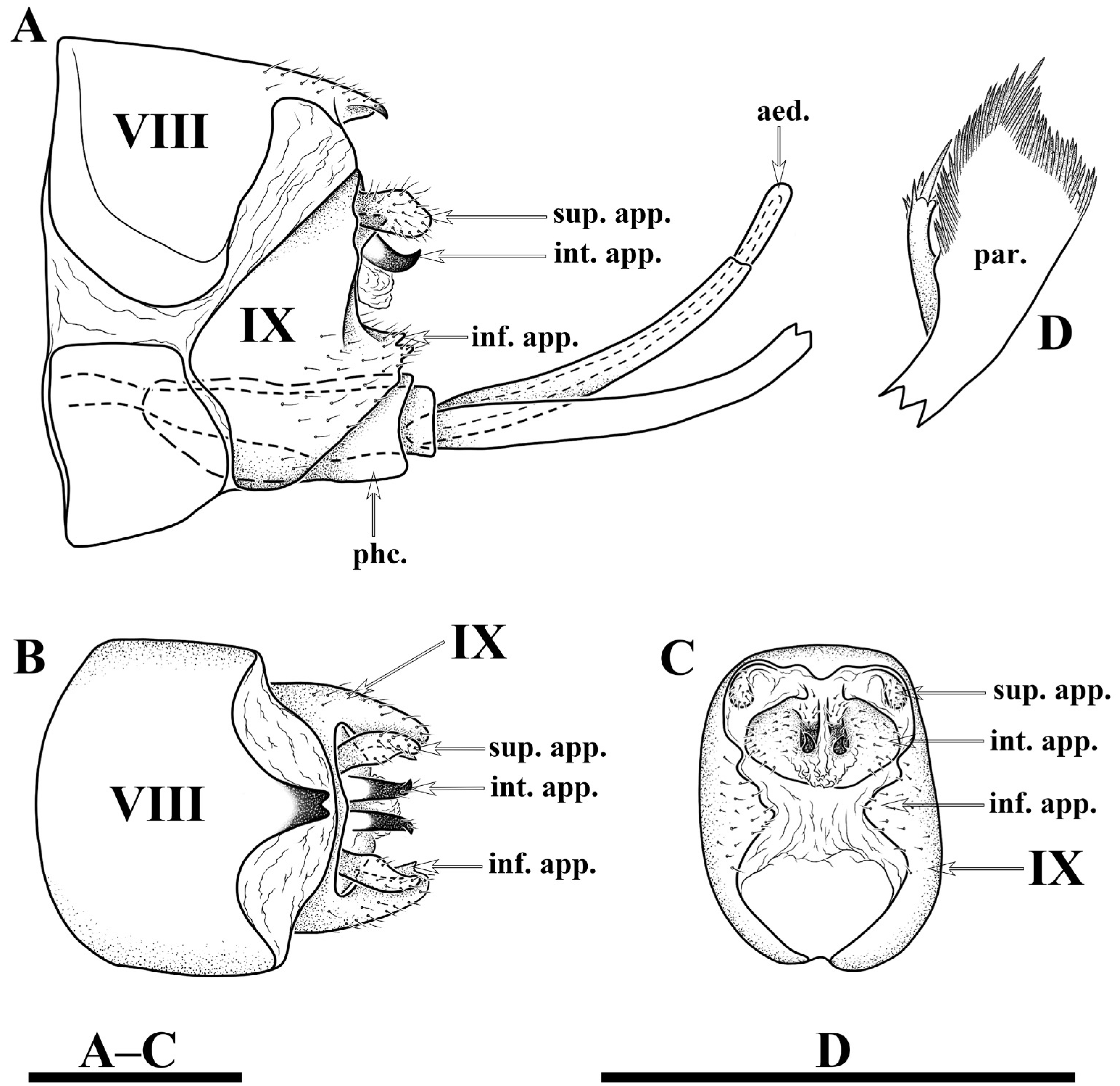 Insects 13 00653 g004 550