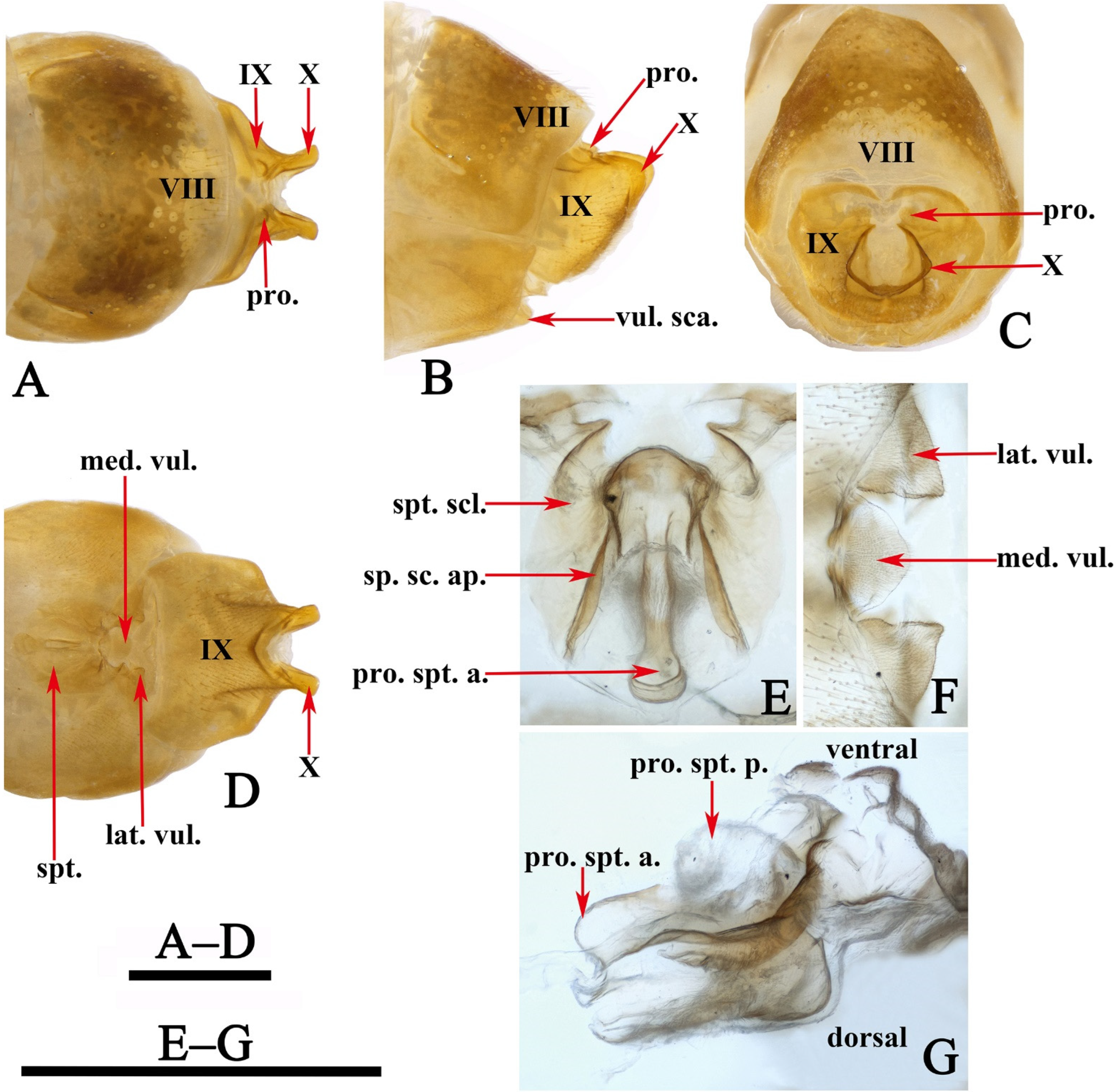 Insects 13 00653 g005 550
