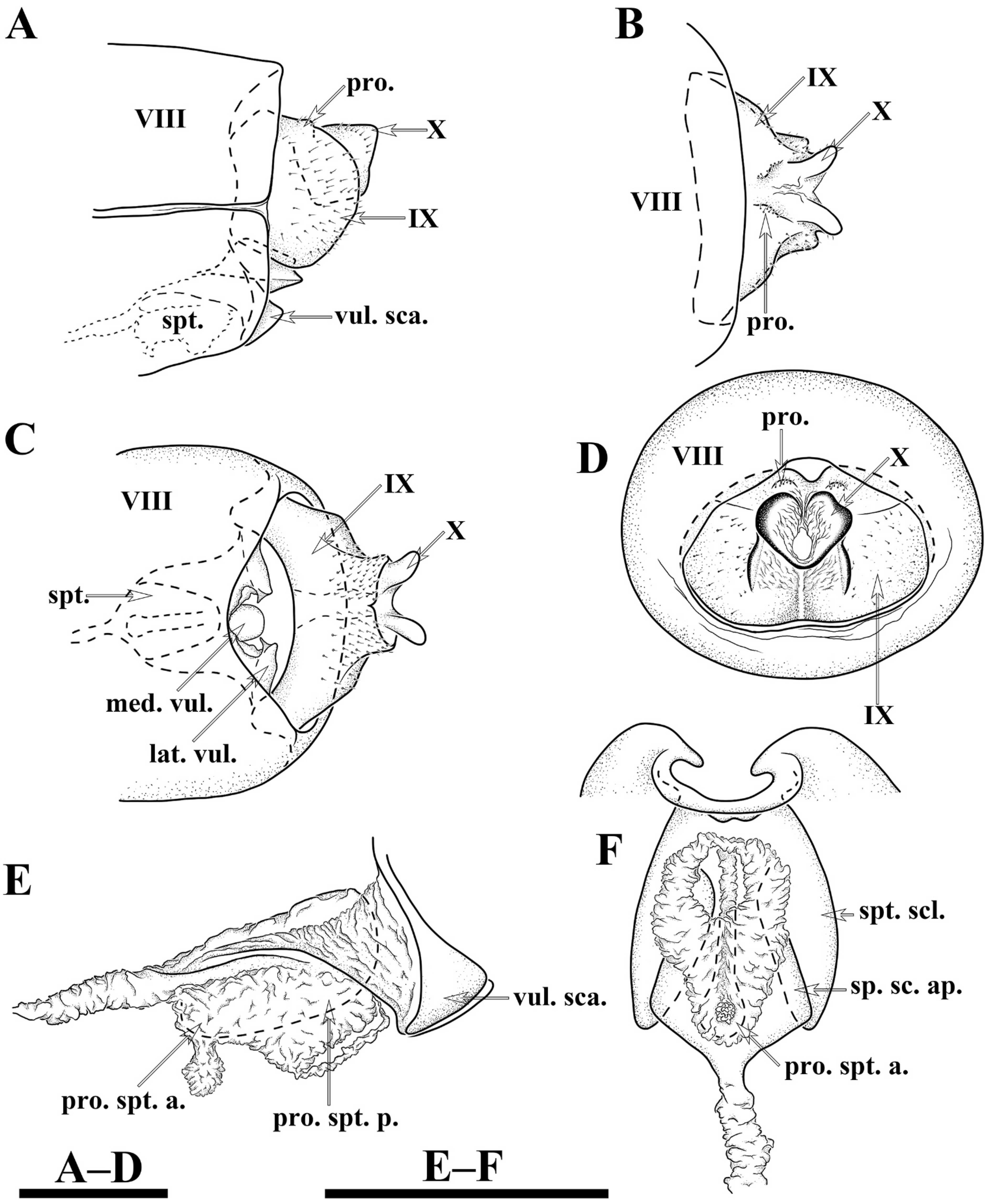 Insects 13 00653 g006 550
