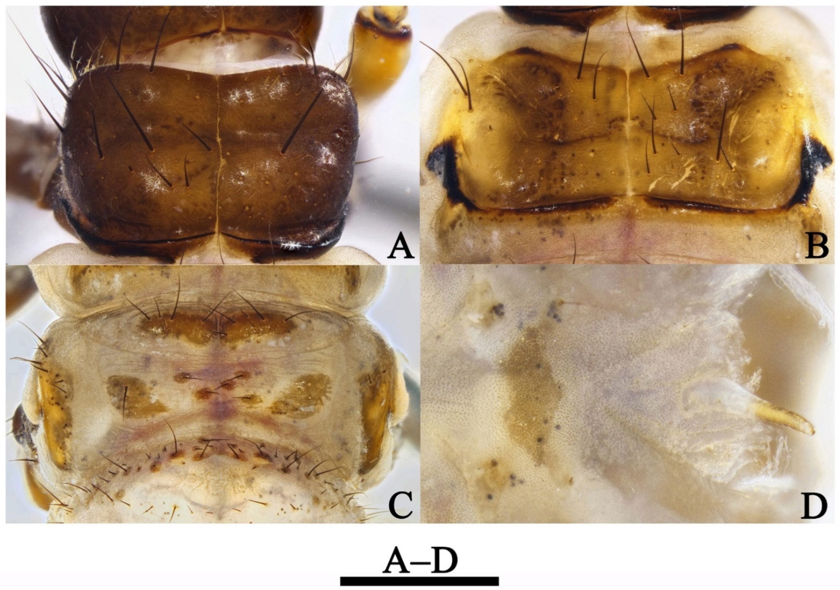 Insects 13 00653 g009 550