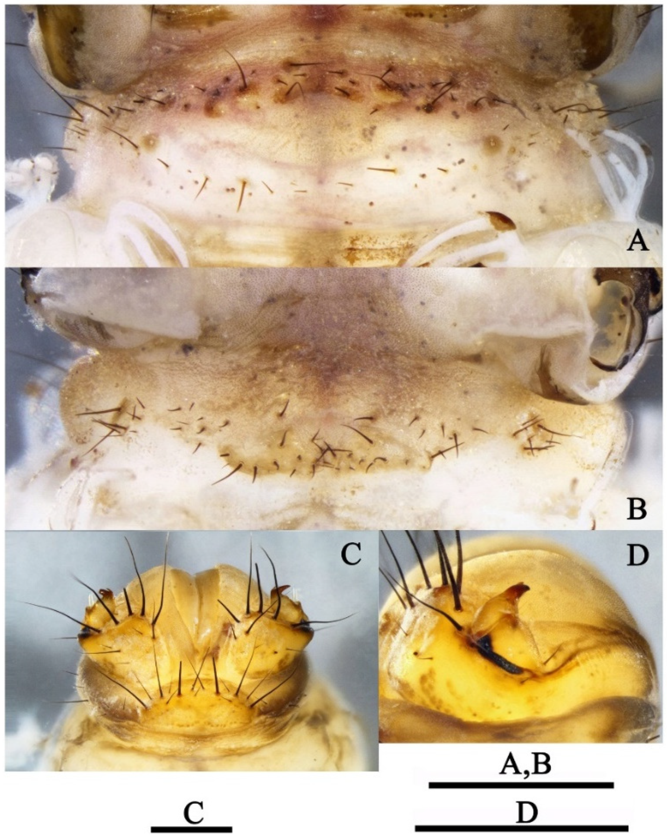 Insects 13 00653 g011 550