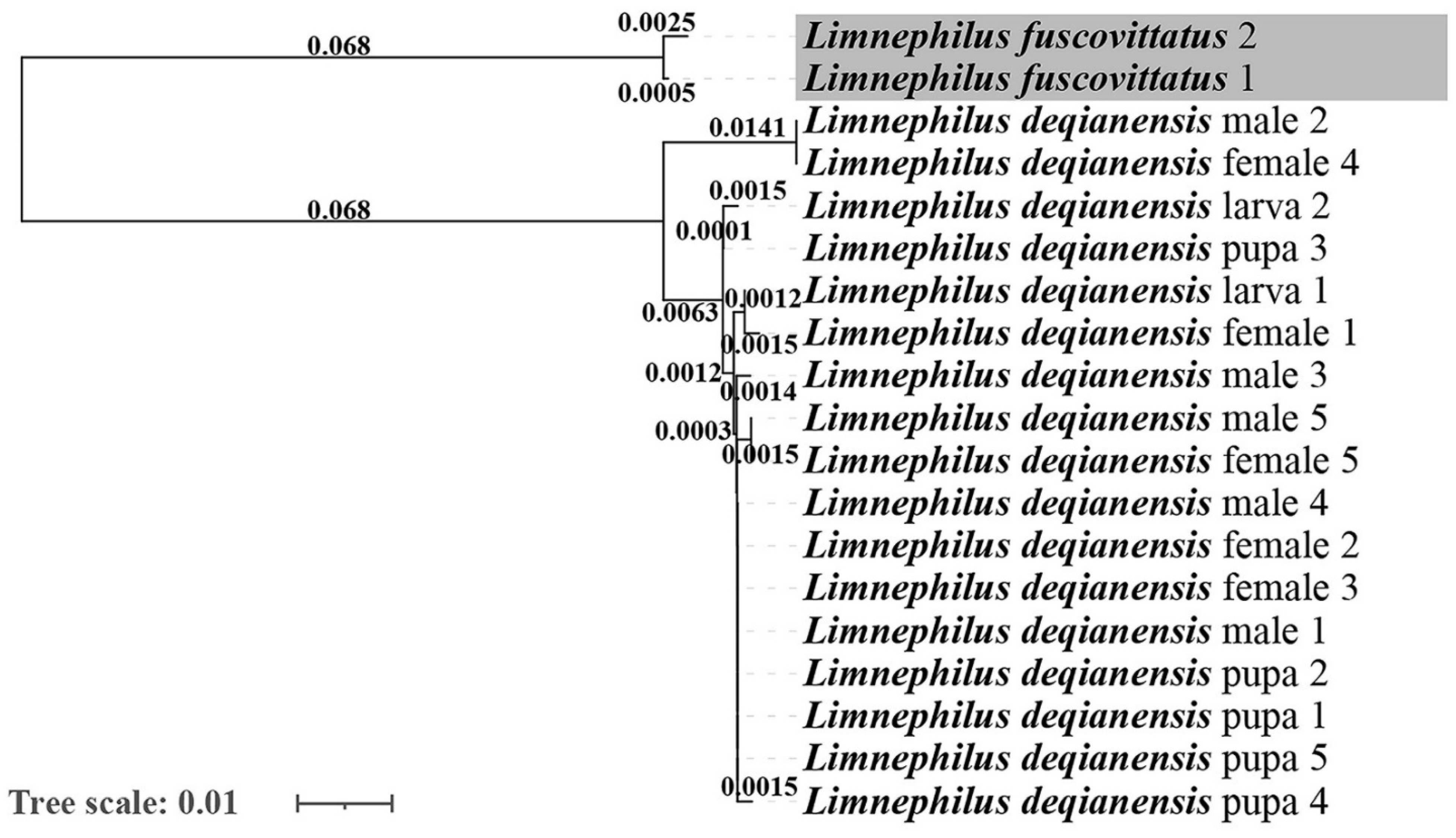 Insects 13 00653 g014 550