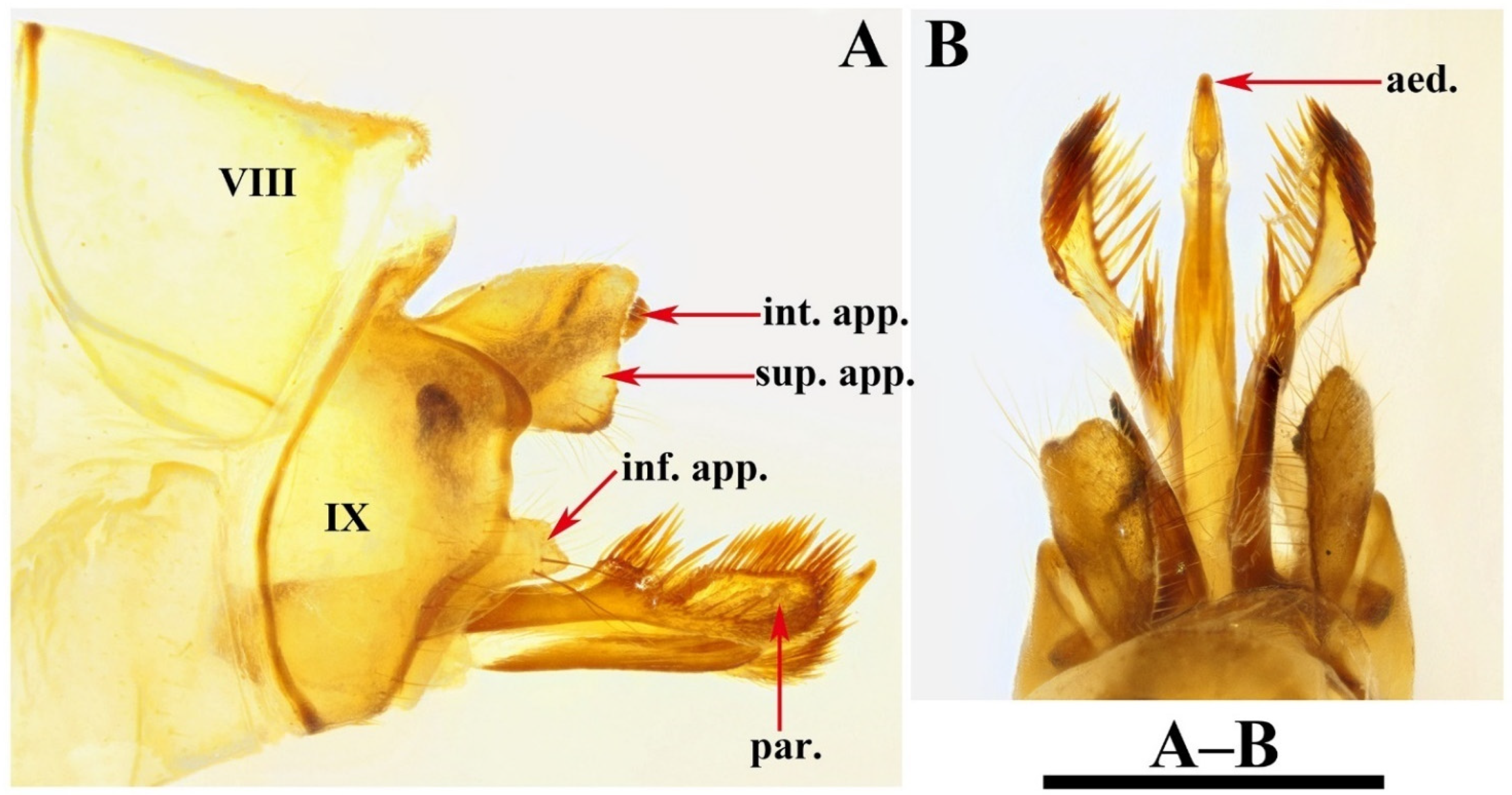Insects 13 00653 g015 550