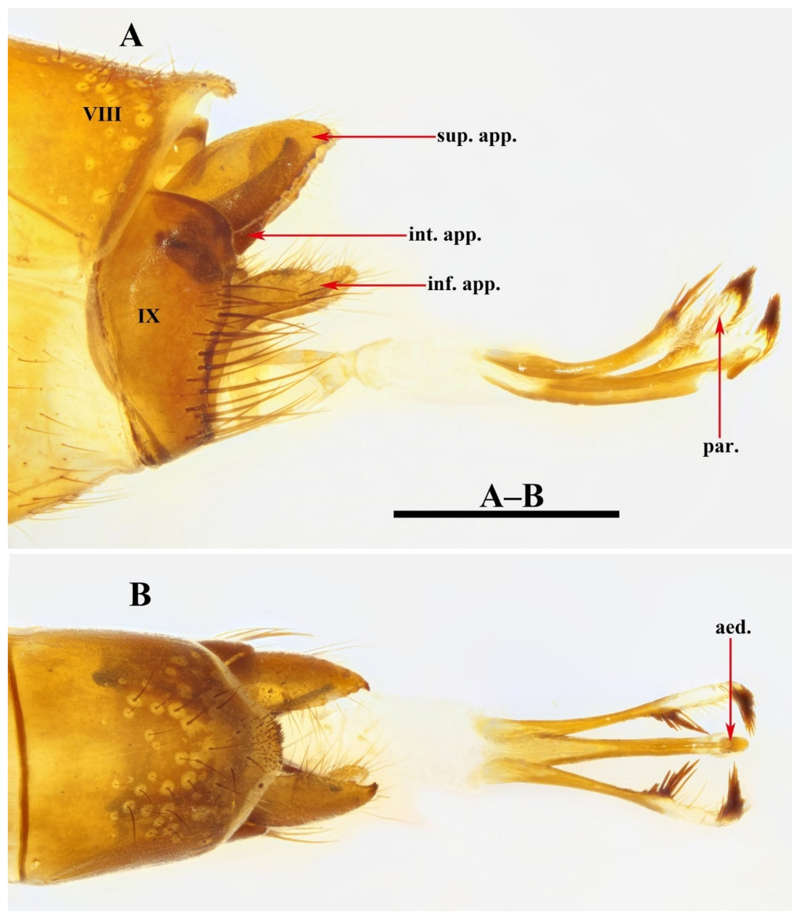 Insects 13 00653 g017 550