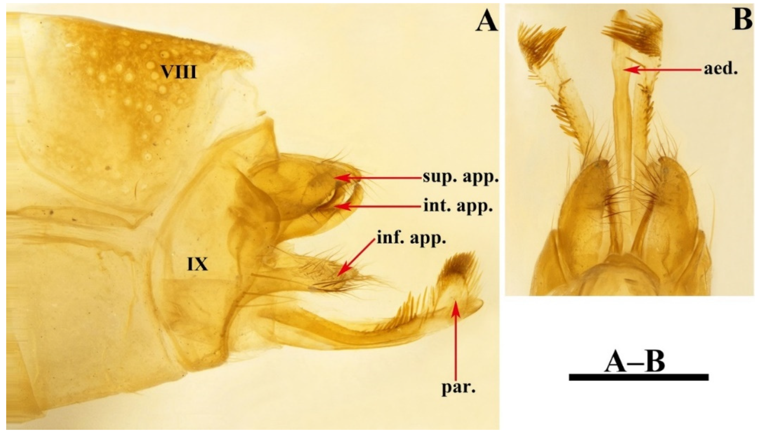 Insects 13 00653 g018 550