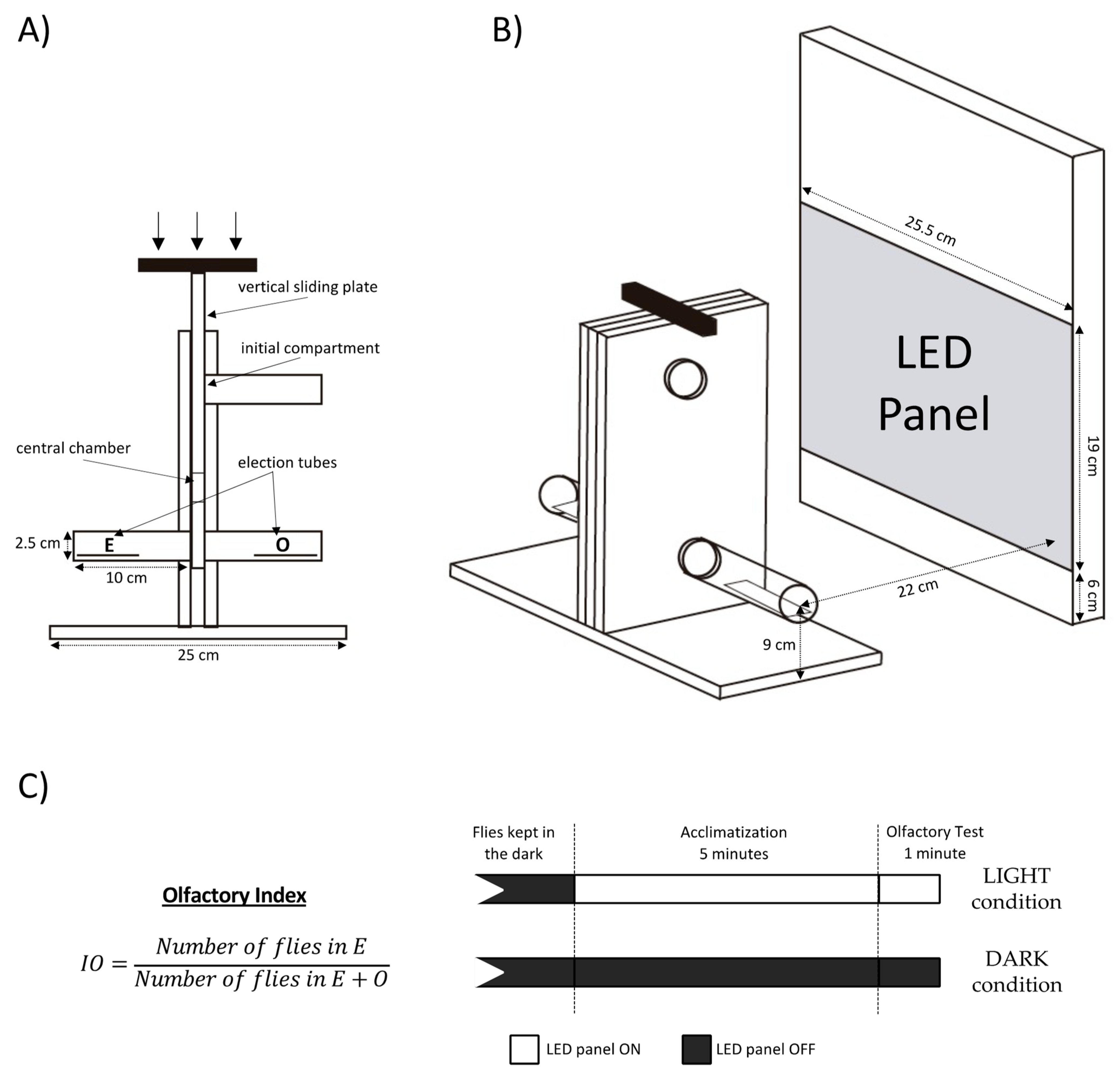 Insects 13 00662 g001 550