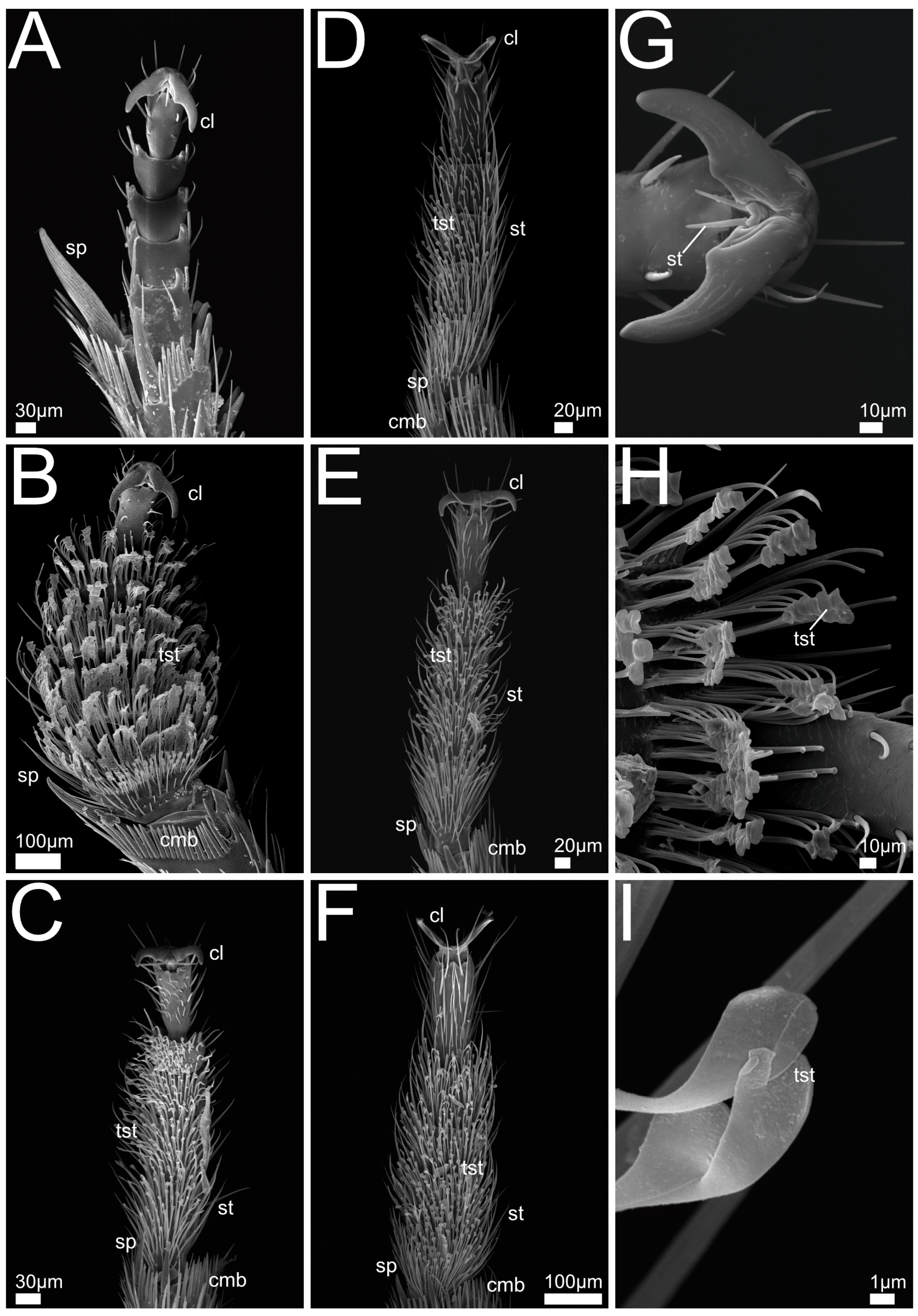 Insects 13 00667 g005 550