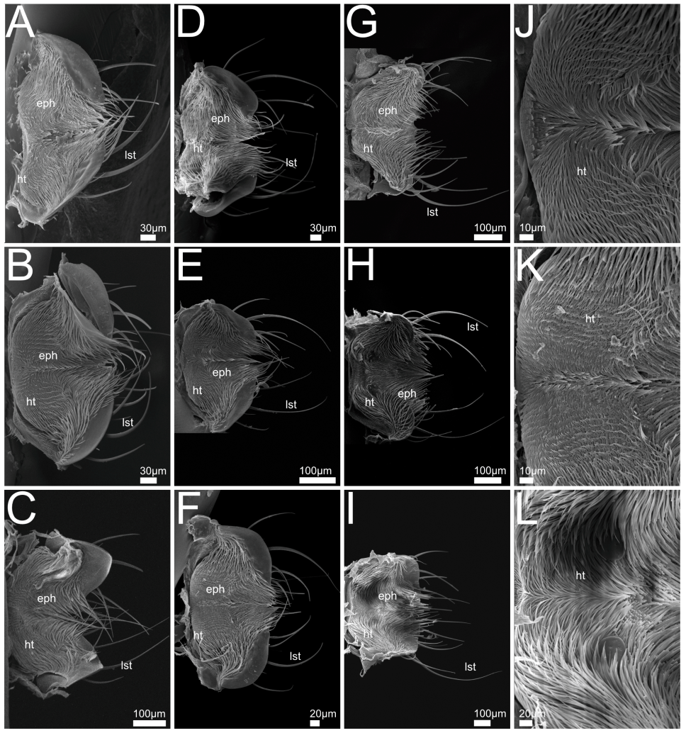 Insects 13 00667 g006 550