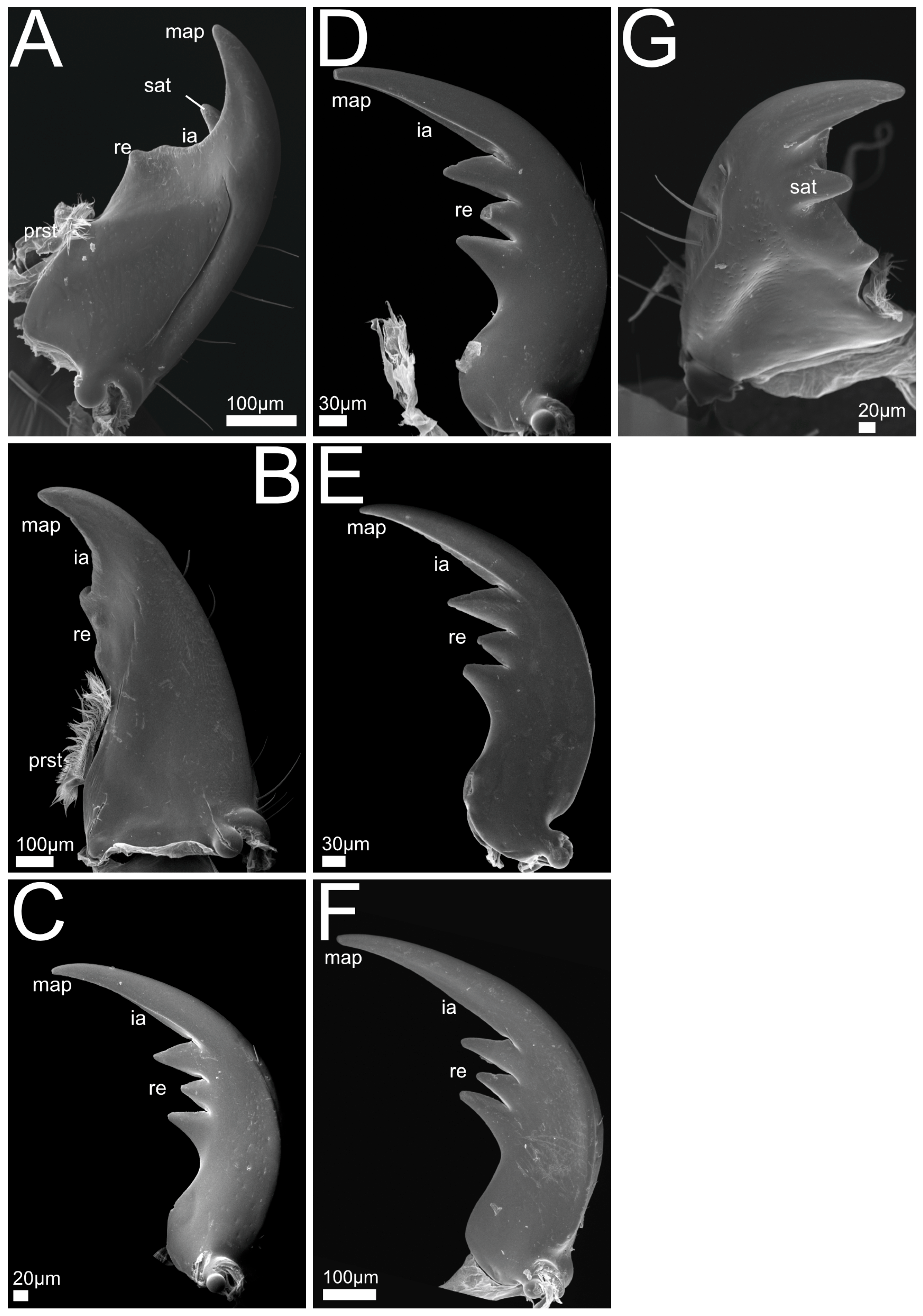 Insects 13 00667 g009 550