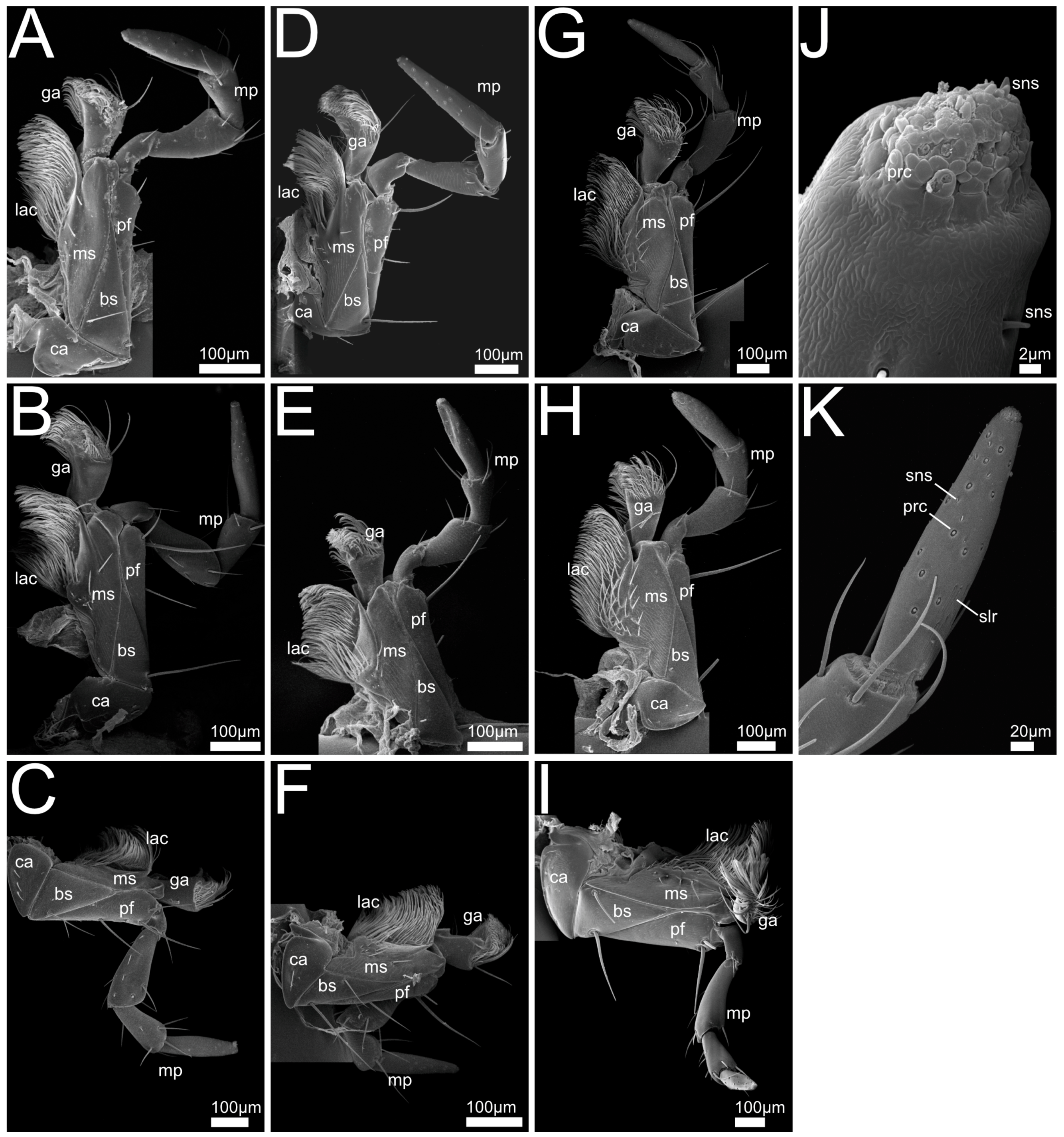 Insects 13 00667 g010 550