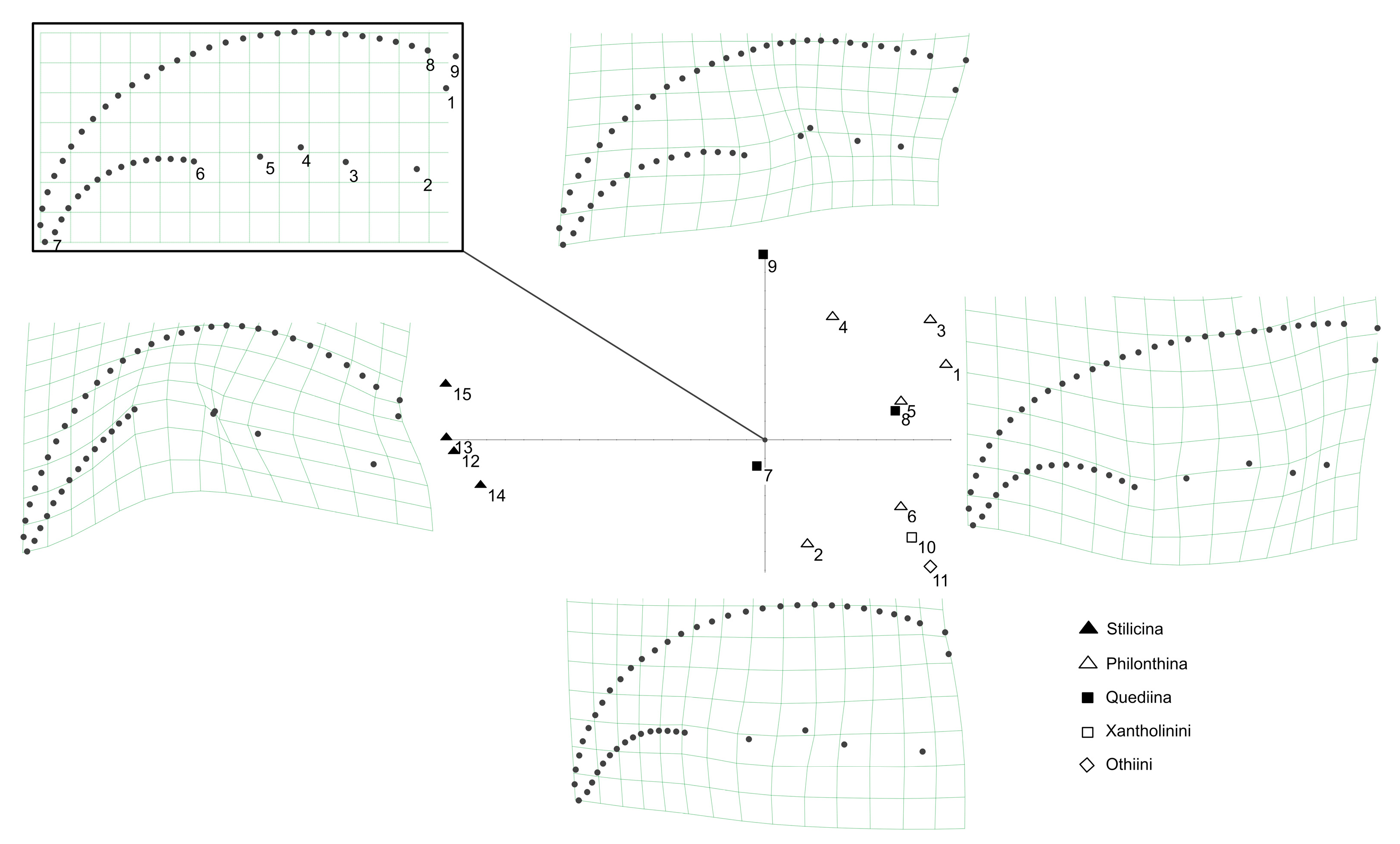 Insects 13 00667 g014 550