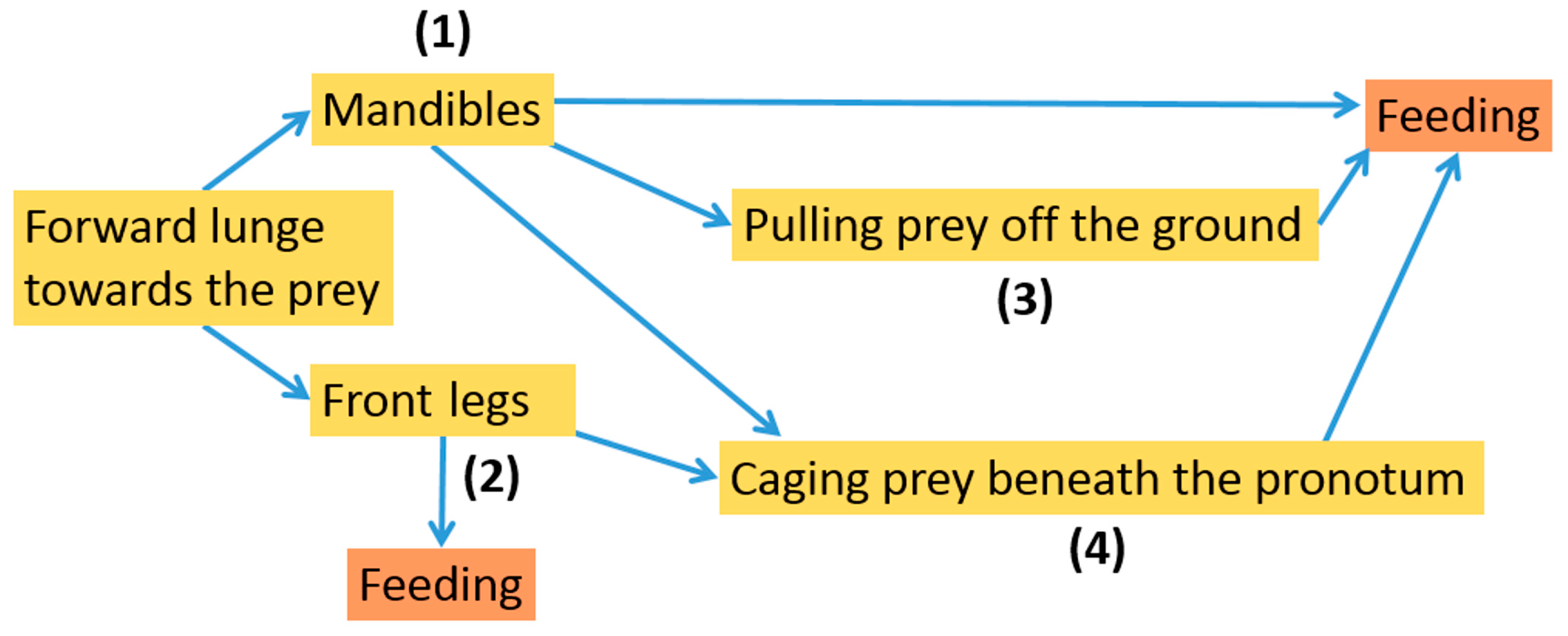 Insects 13 00667 g022 550