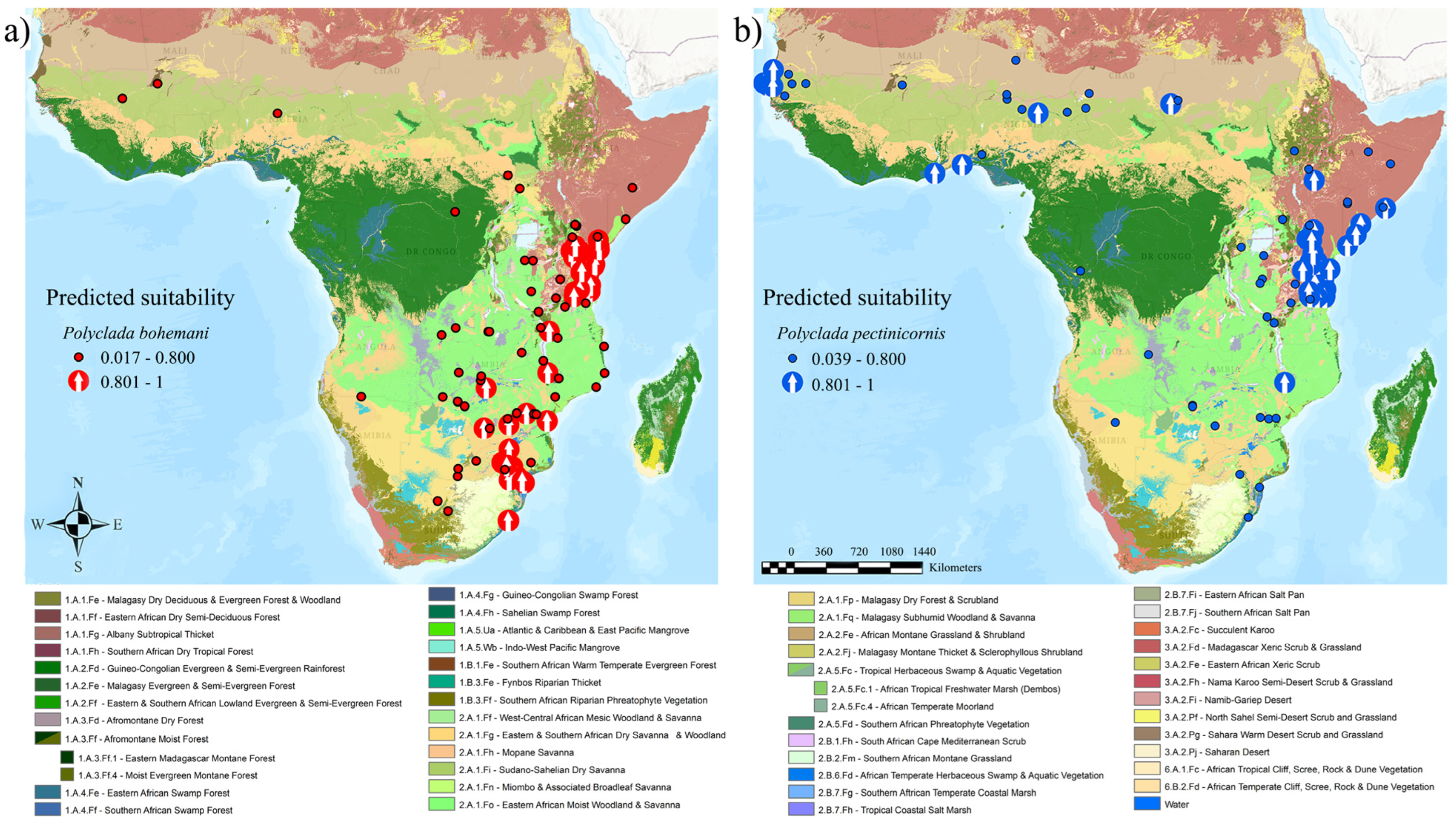 Insects 13 00668 g004