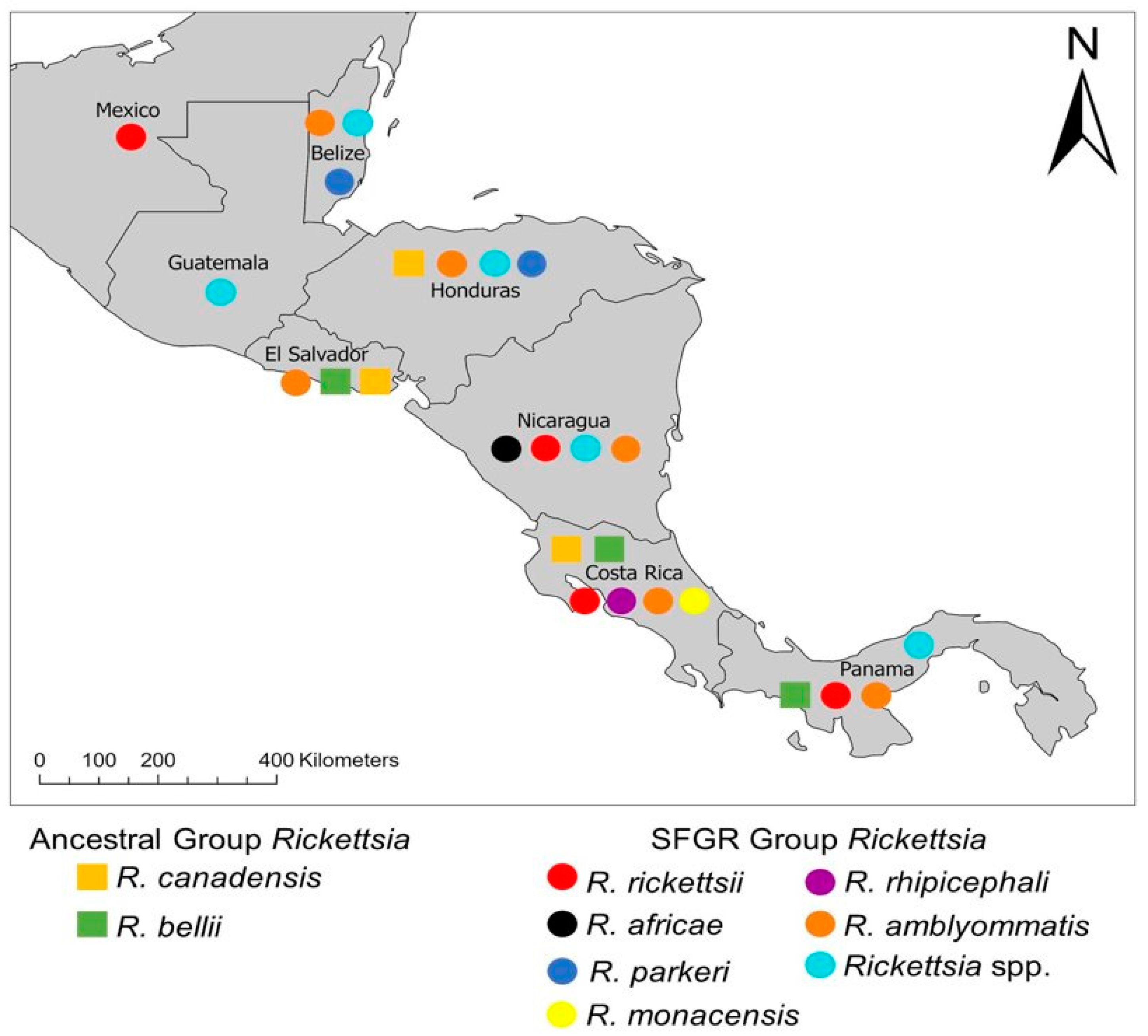 Insects 13 00674 g001 550