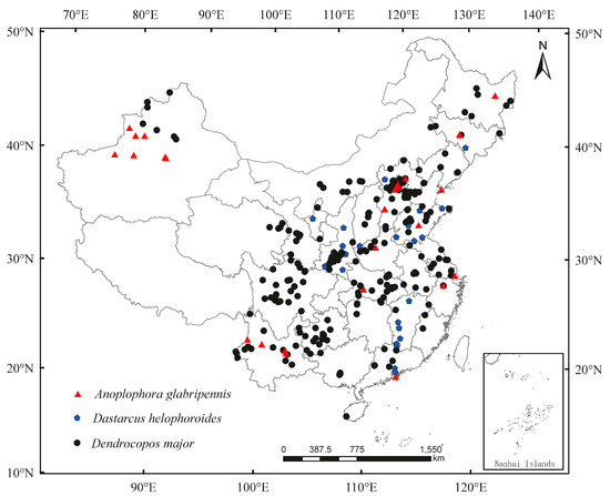 Predicting Distribution of the Asian Longhorned Beetle