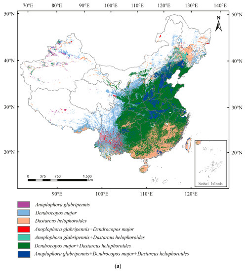 Predicting Distribution of the Asian Longhorned Beetle, Anoplophora ...