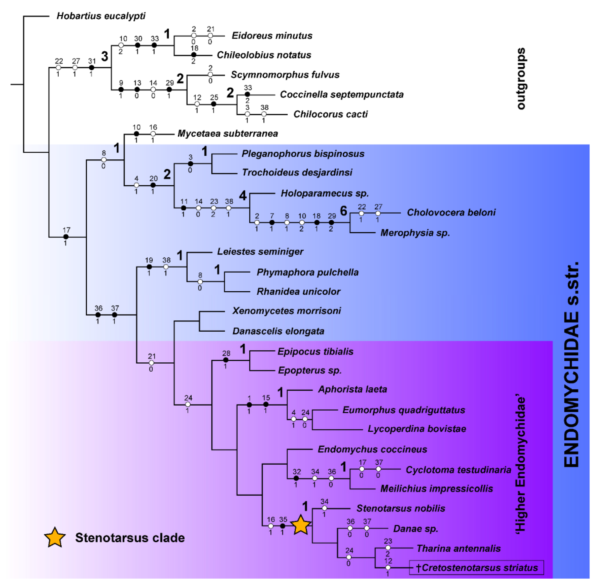 Insects 13 00690 g001 550