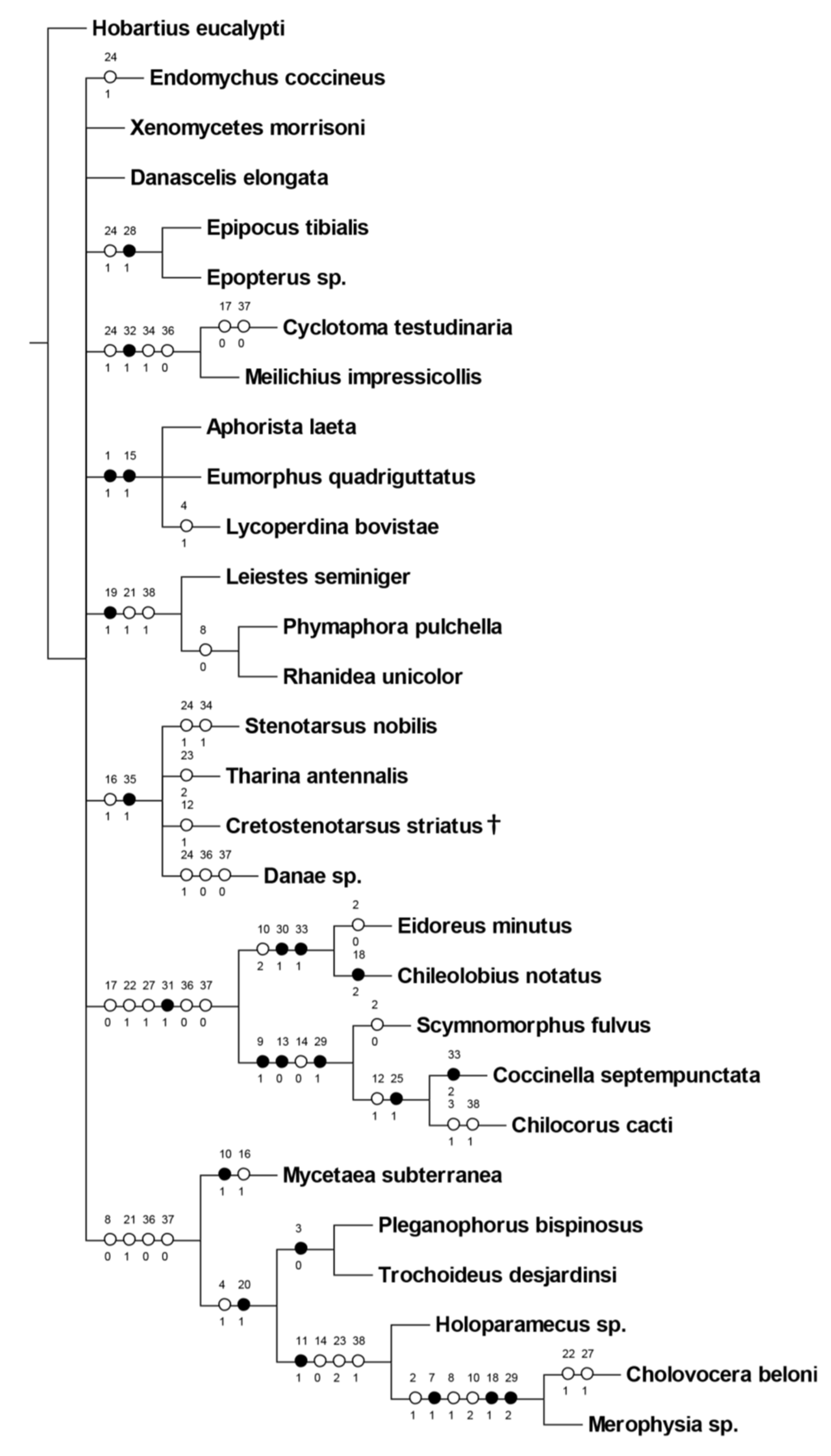 Insects 13 00690 i001