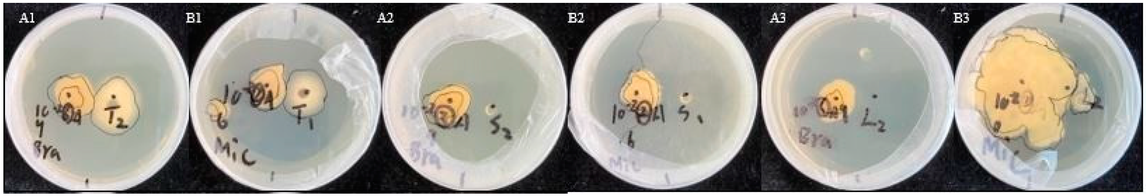 Insects 13 00691 g006