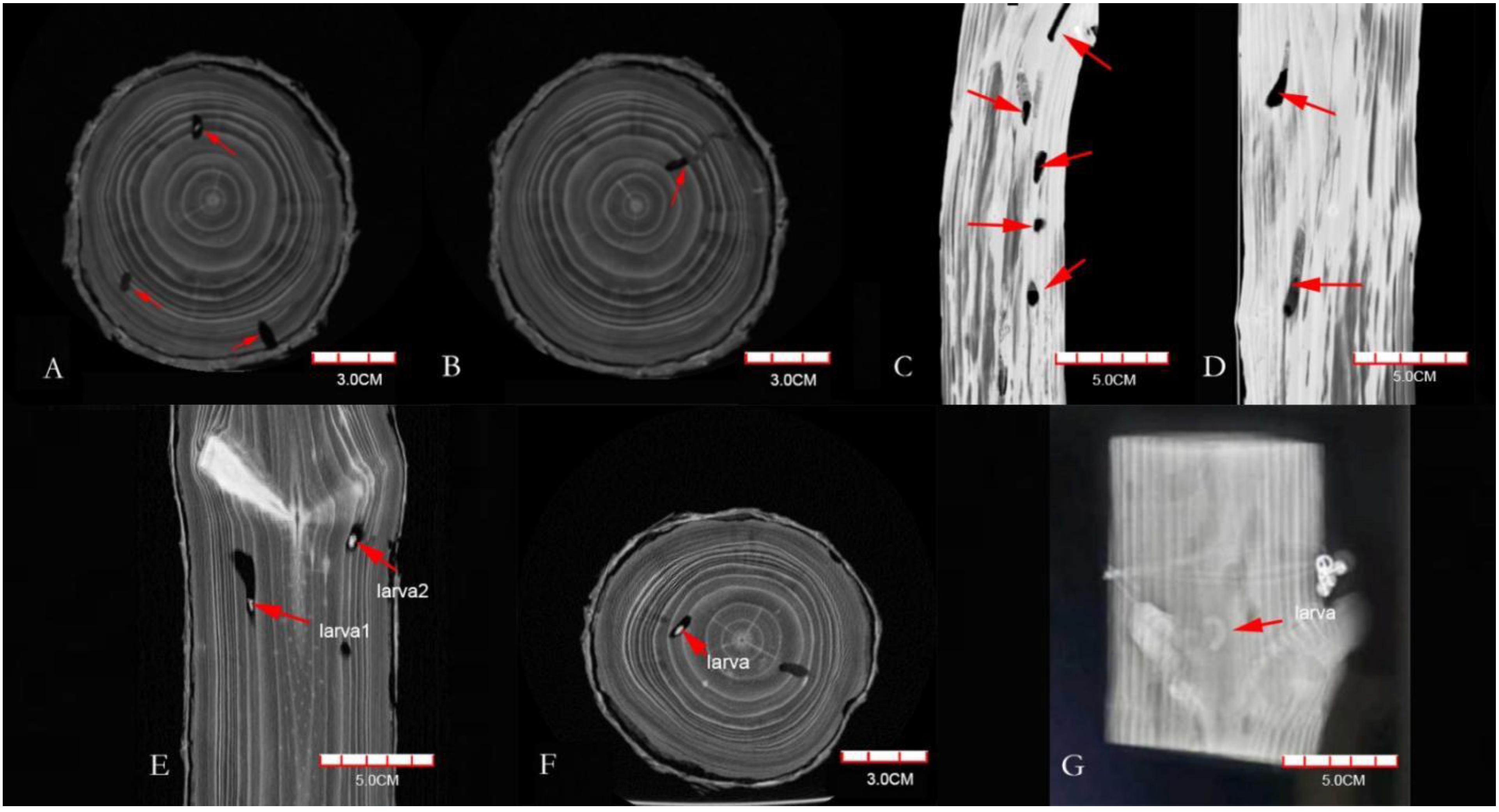 Insects 13 00692 g001 Insects 13 00692 g001
