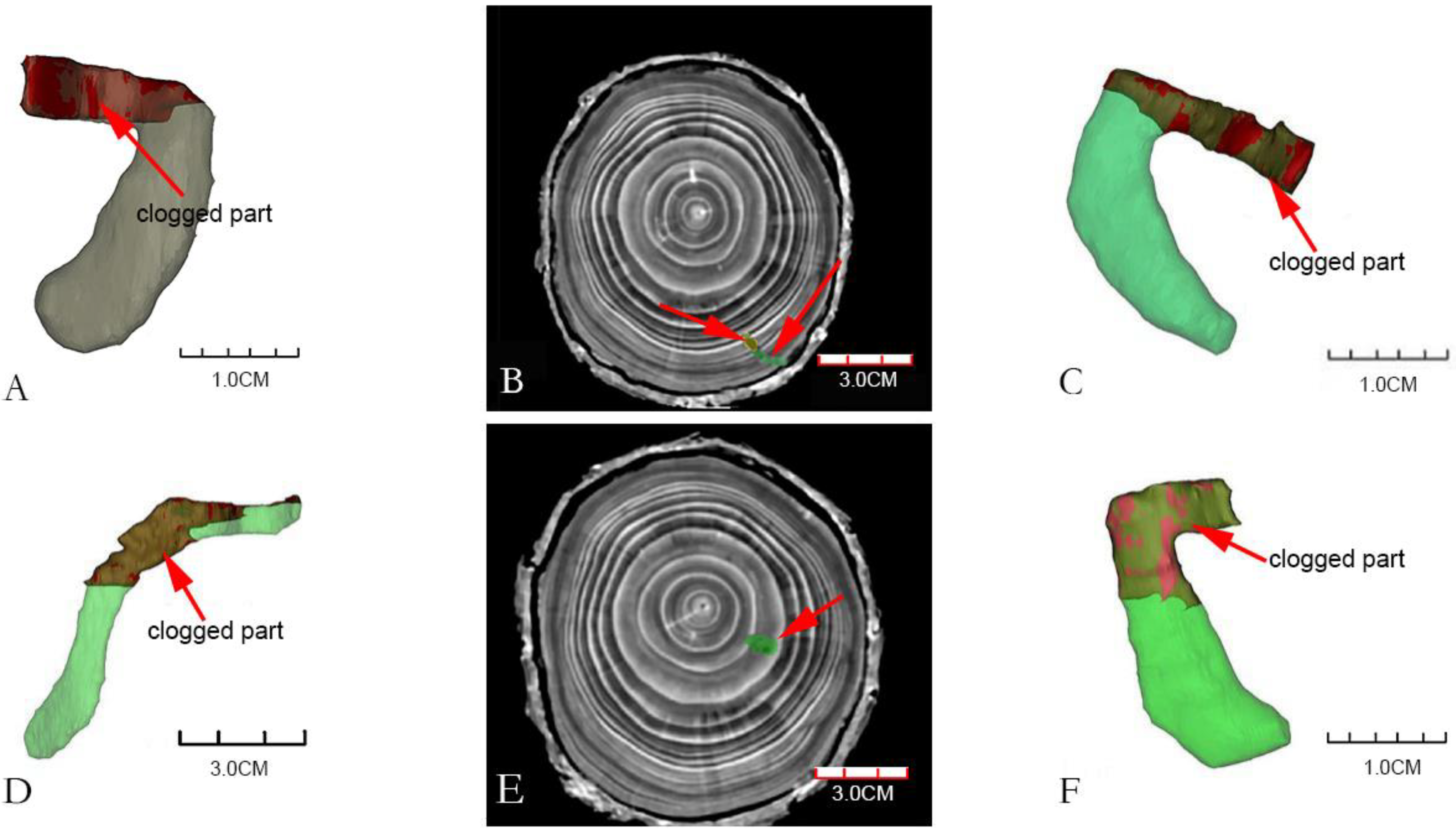 Insects 13 00692 g004 Insects 13 00692 g004
