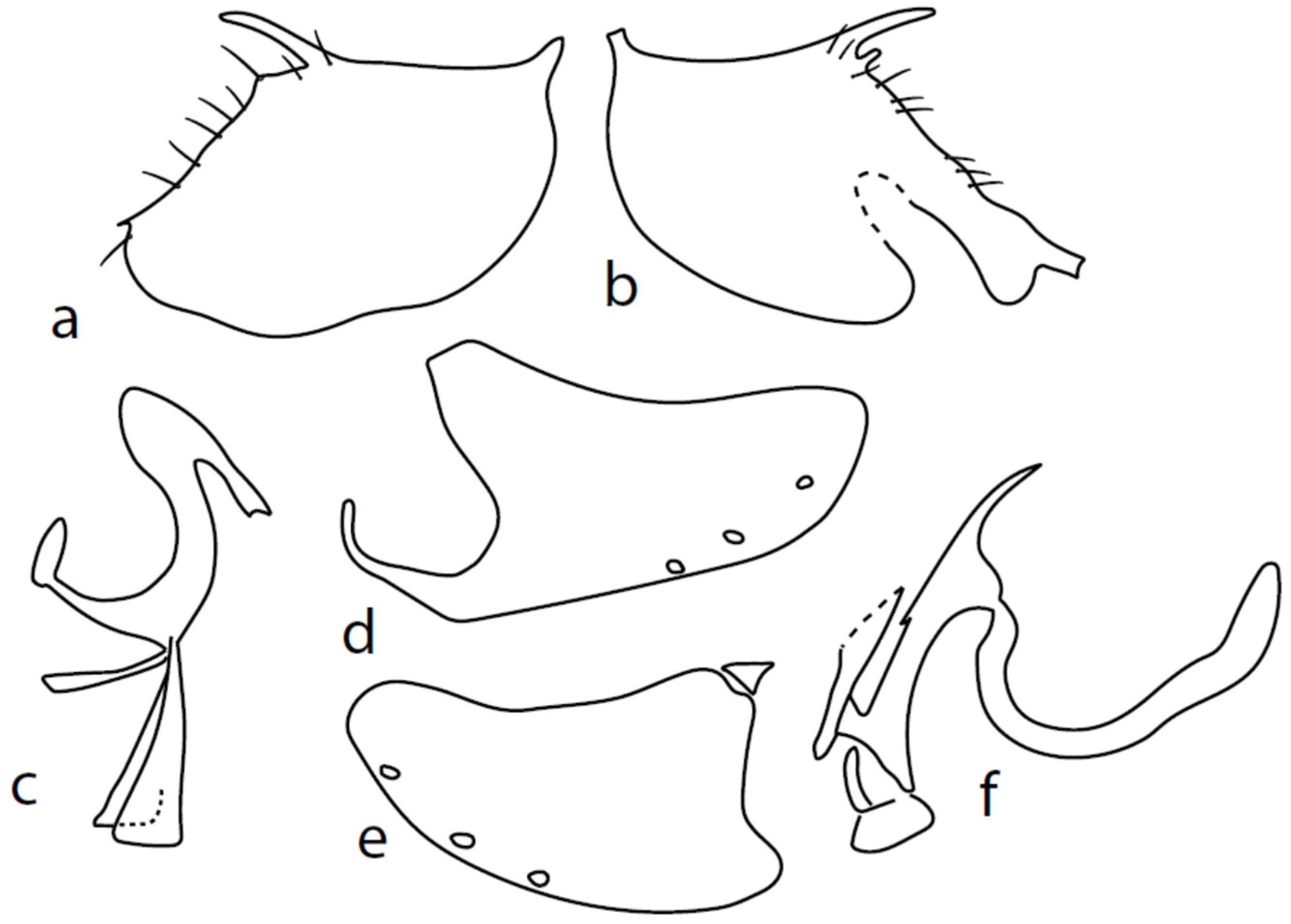 Insects 13 00700 g003 550